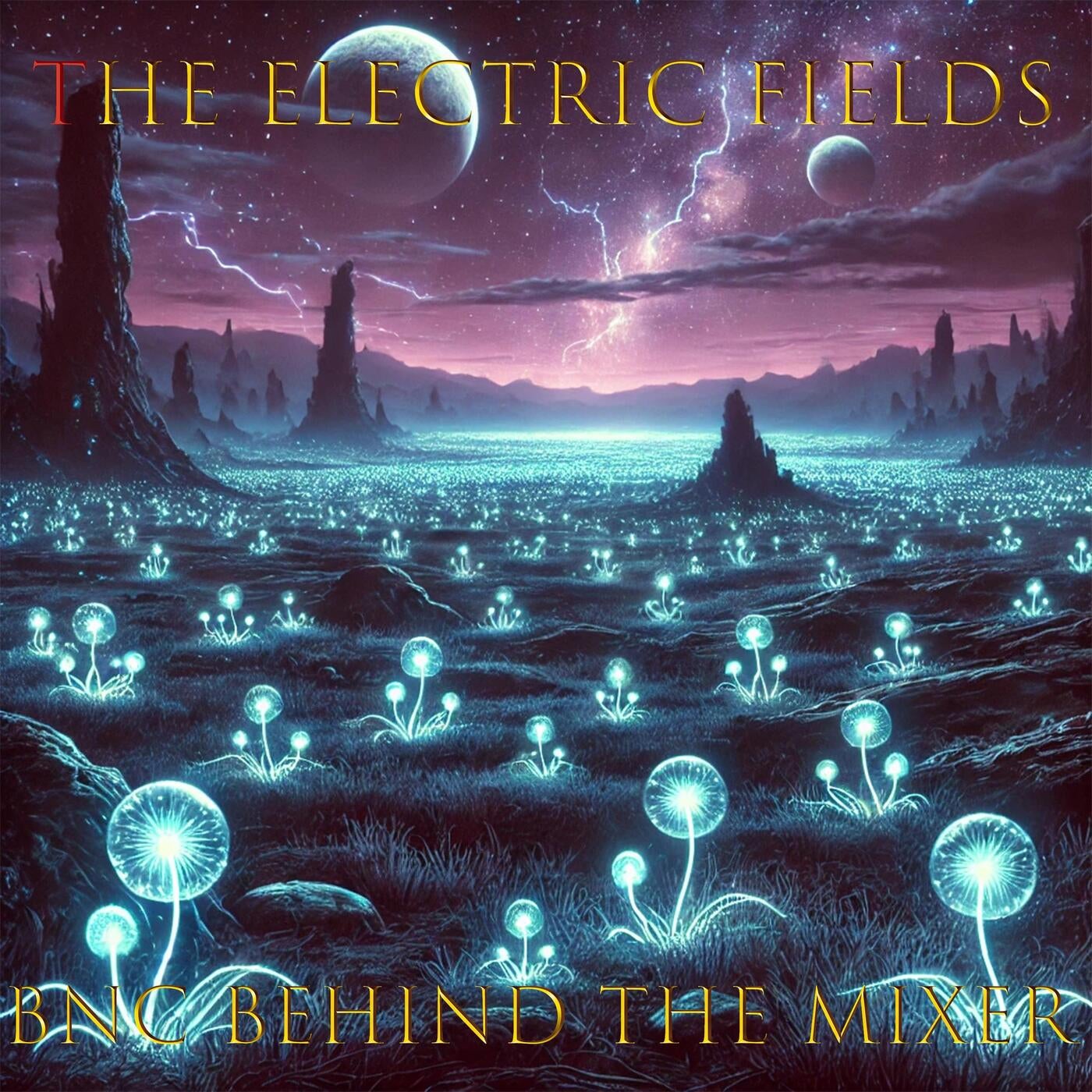 The Electric Fields