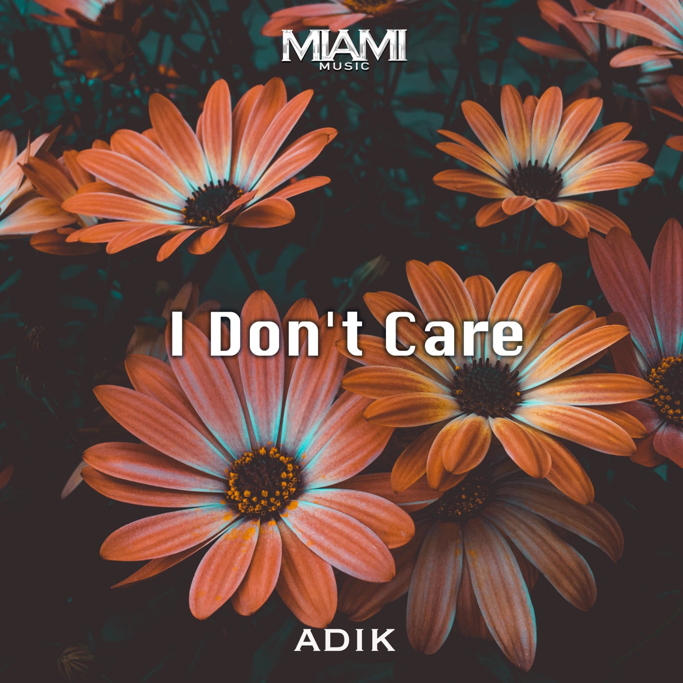 I Don't Care