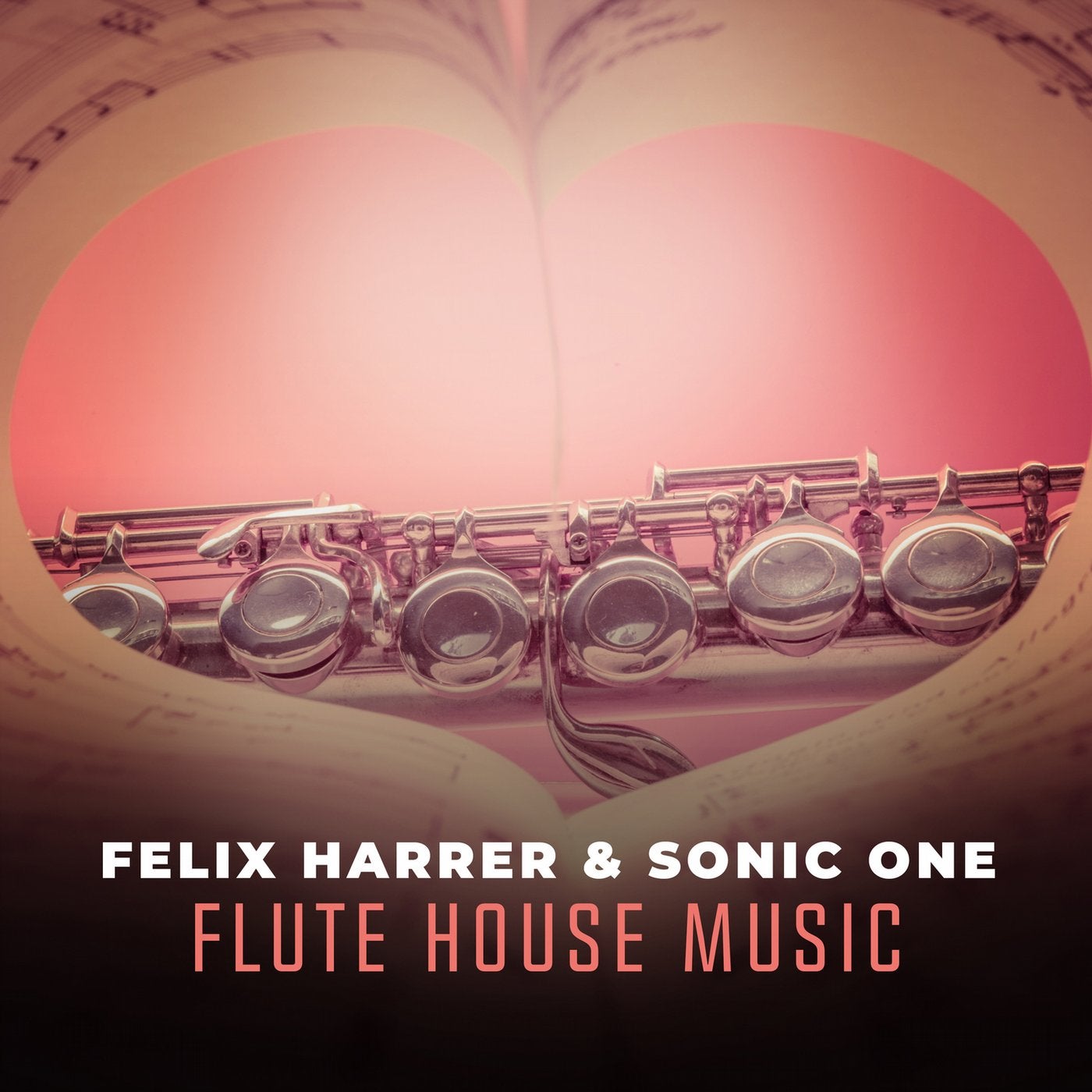 Flute House Music