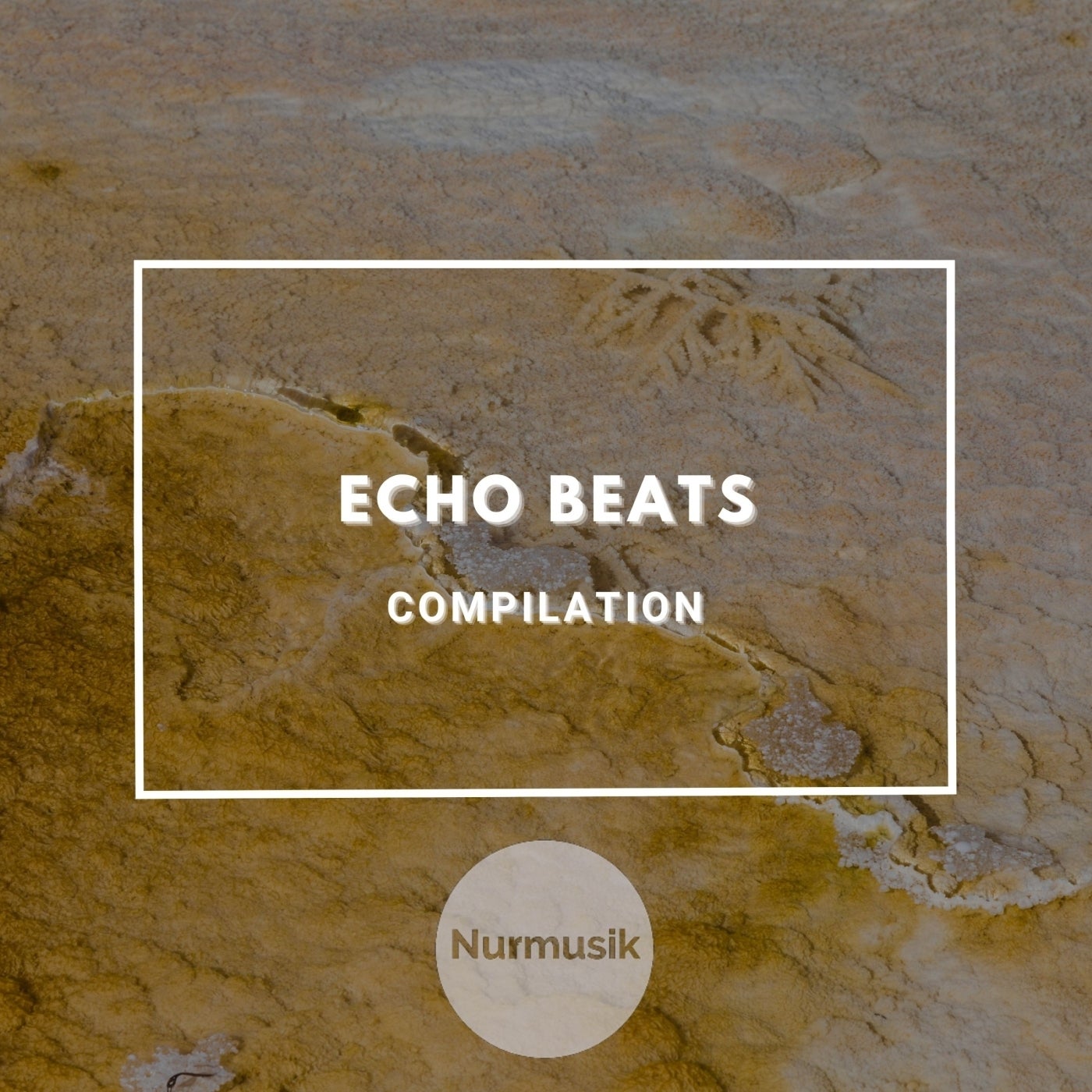 Echo Beats