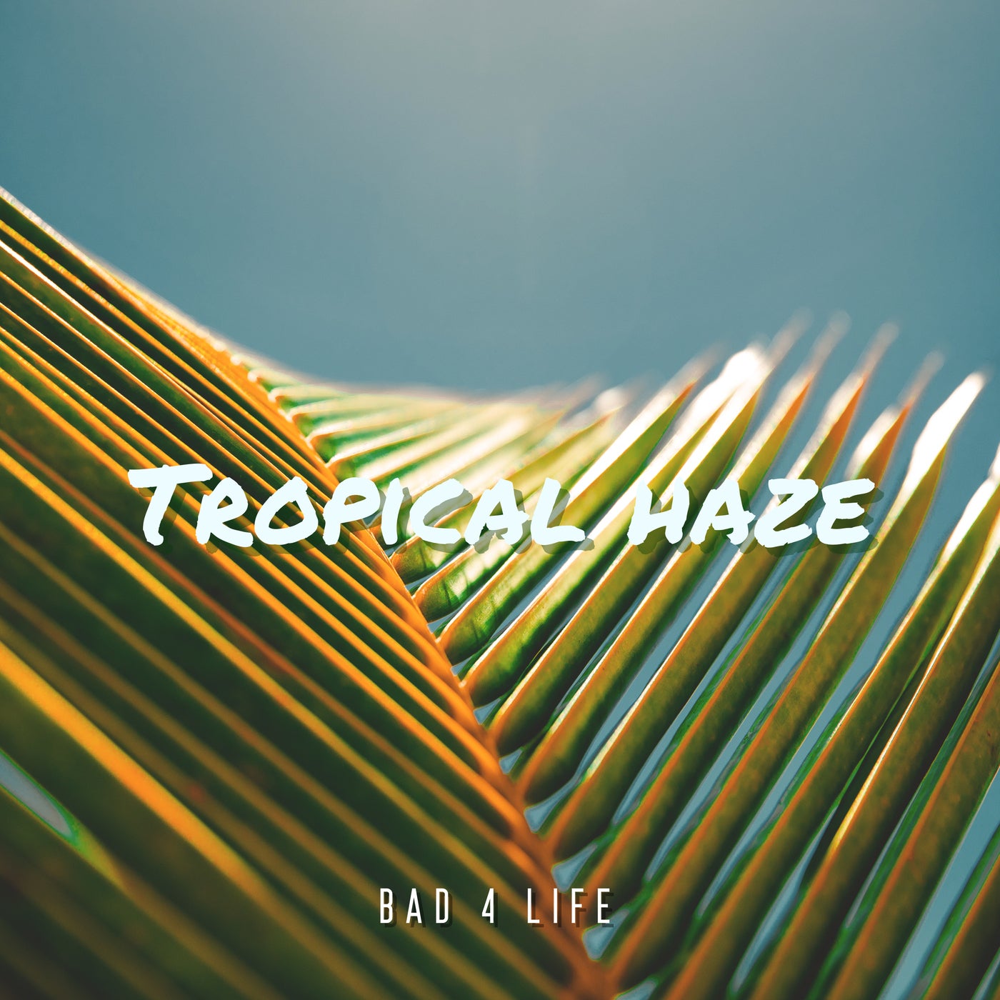 Tropical Haze