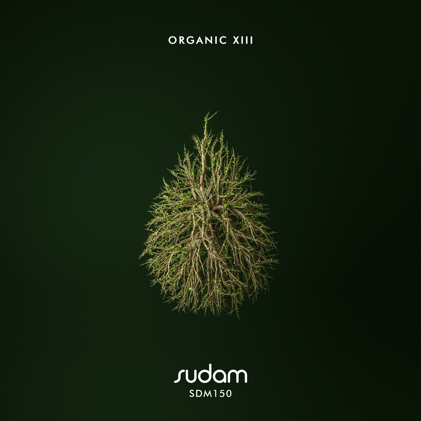 Organic XIII