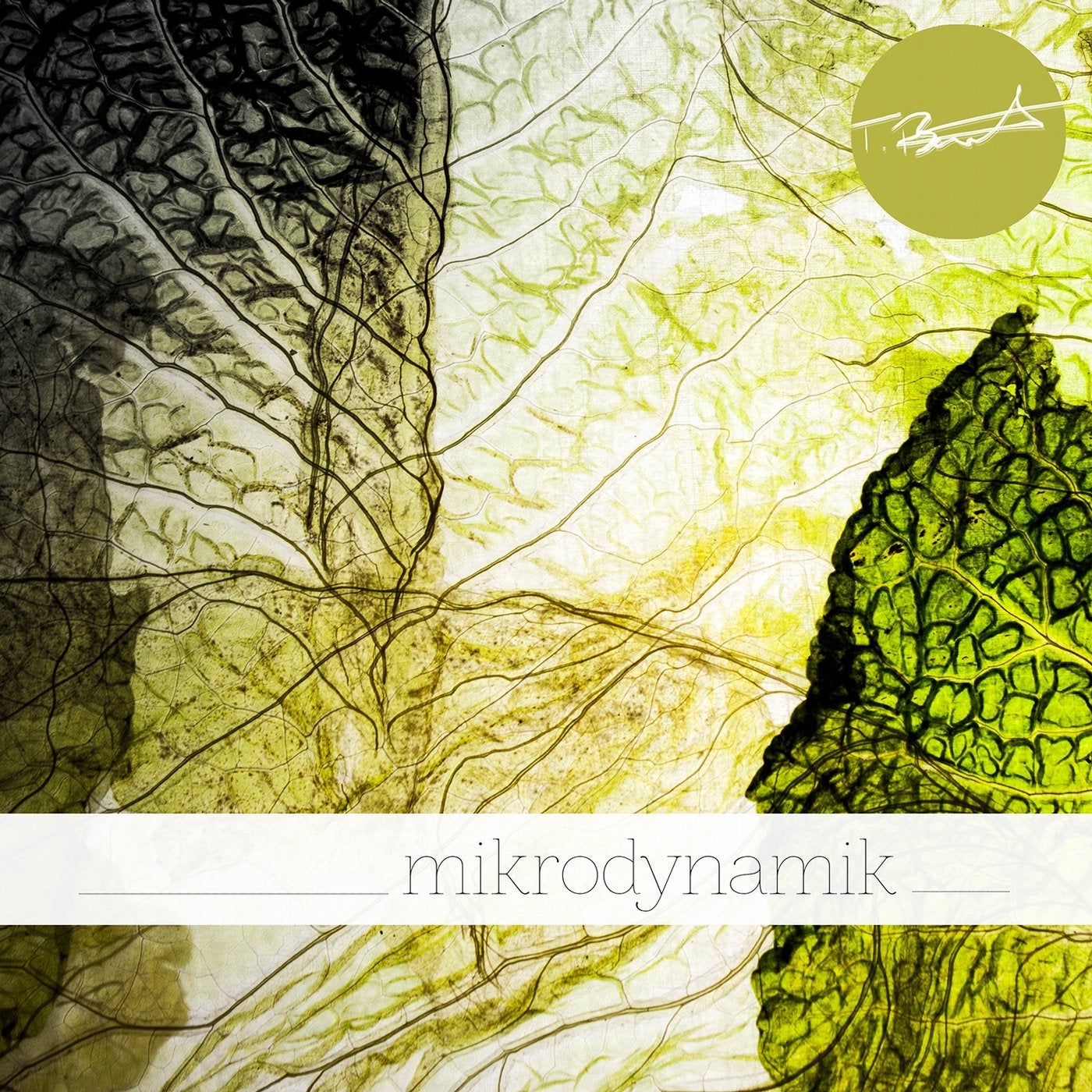 Mikrodynamik