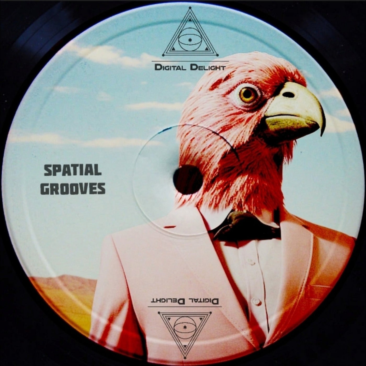 Spatial Grooves