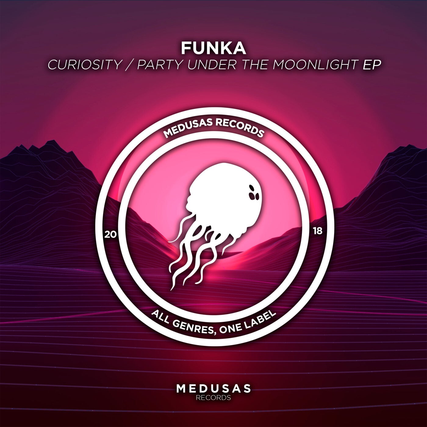 Curiosity / Party Under The Moonlight EP