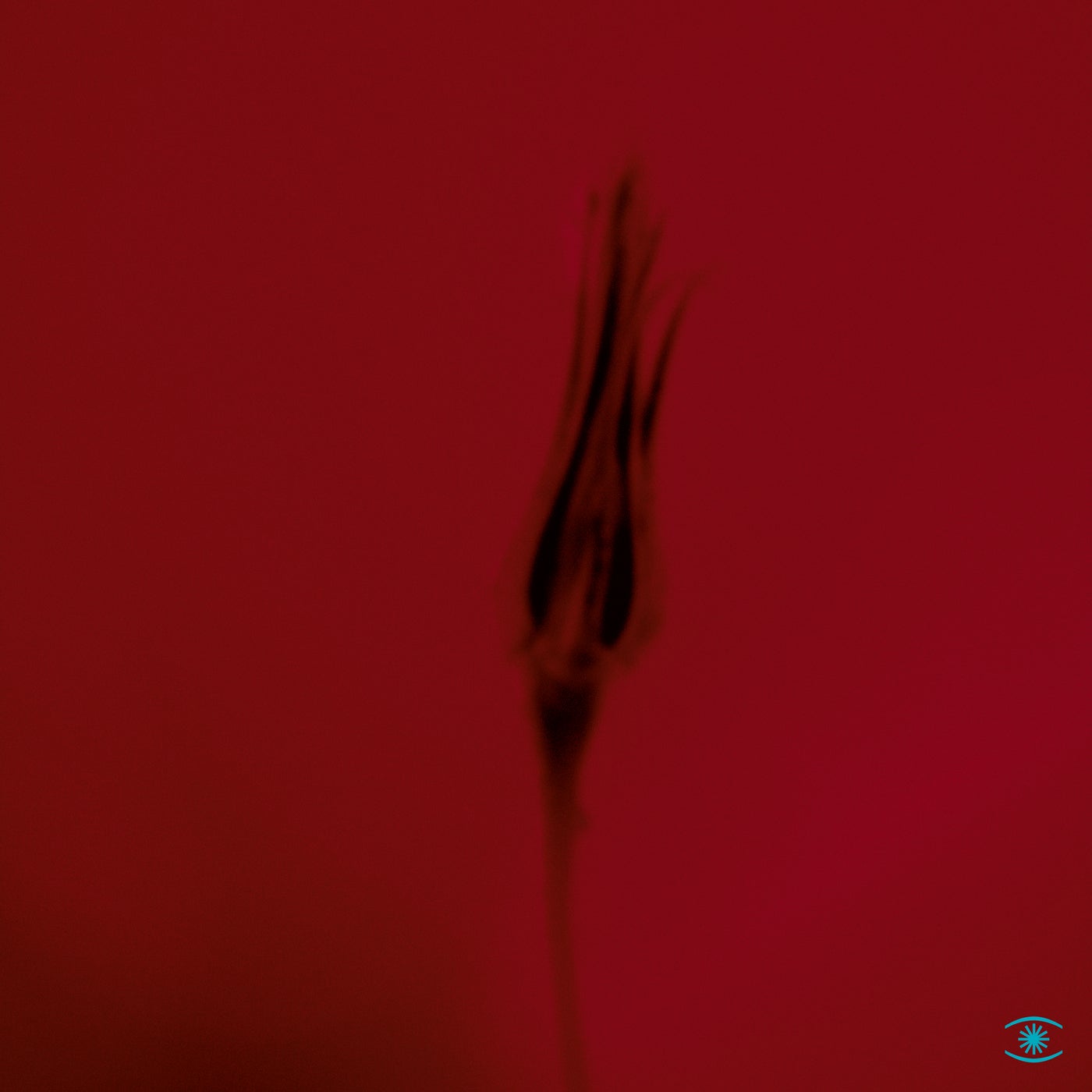 Electronica preview 8