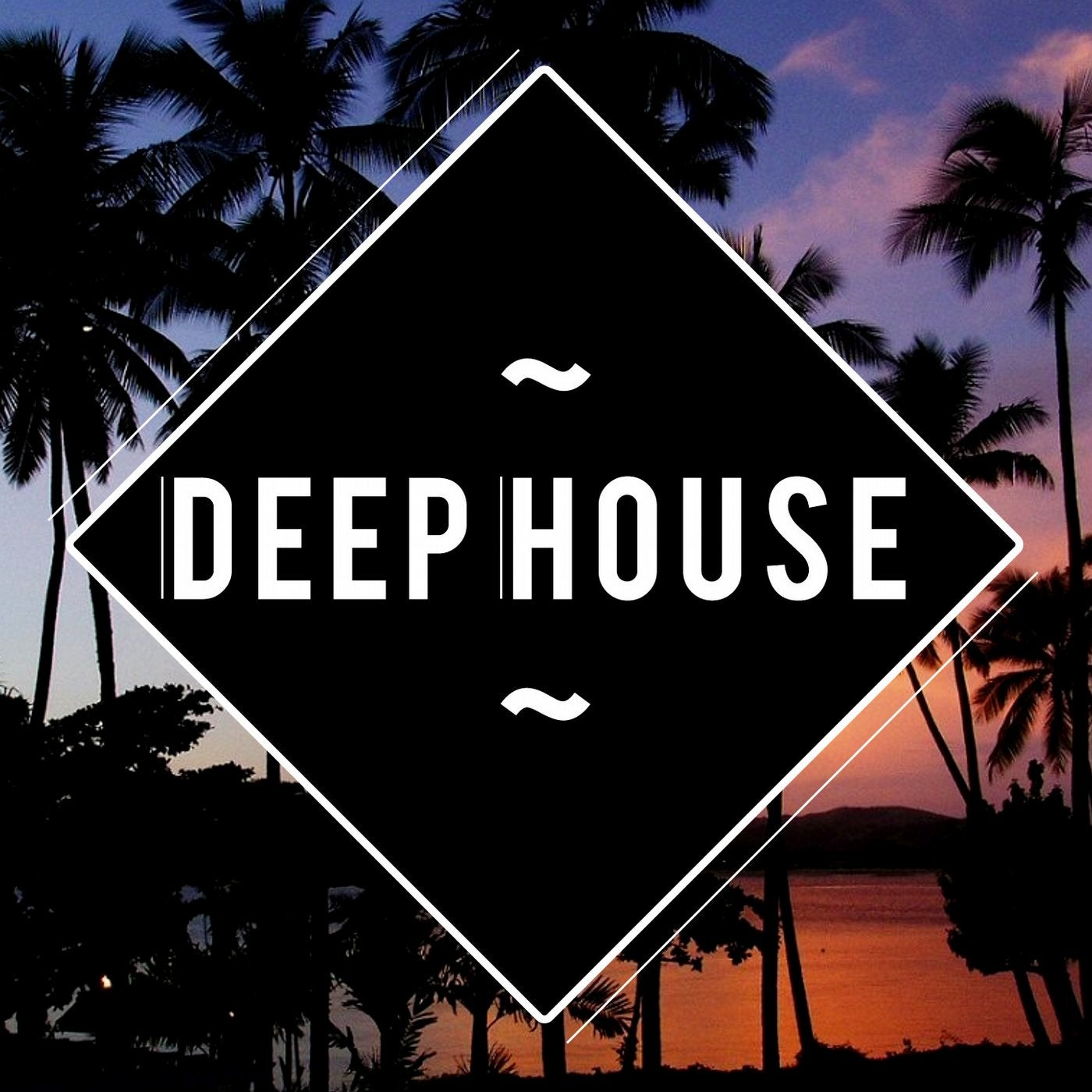 Reckless miami house party ends with compilations