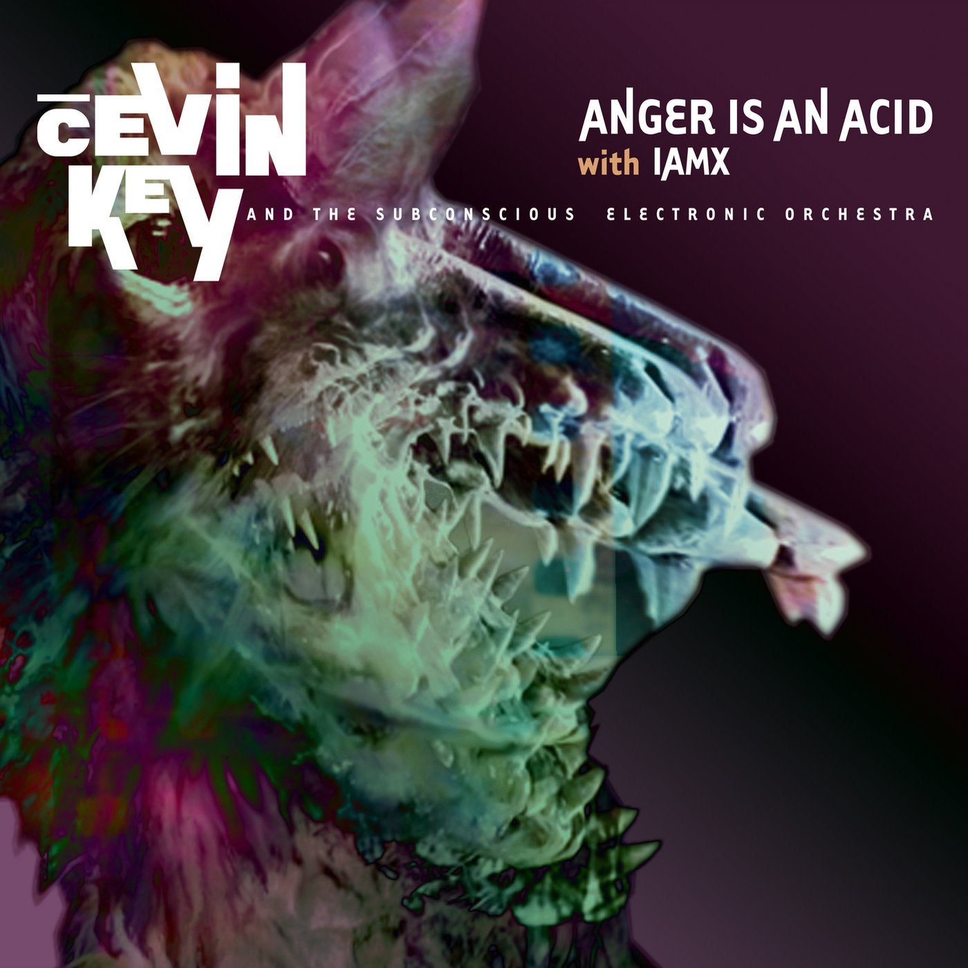 Anger is an Acid