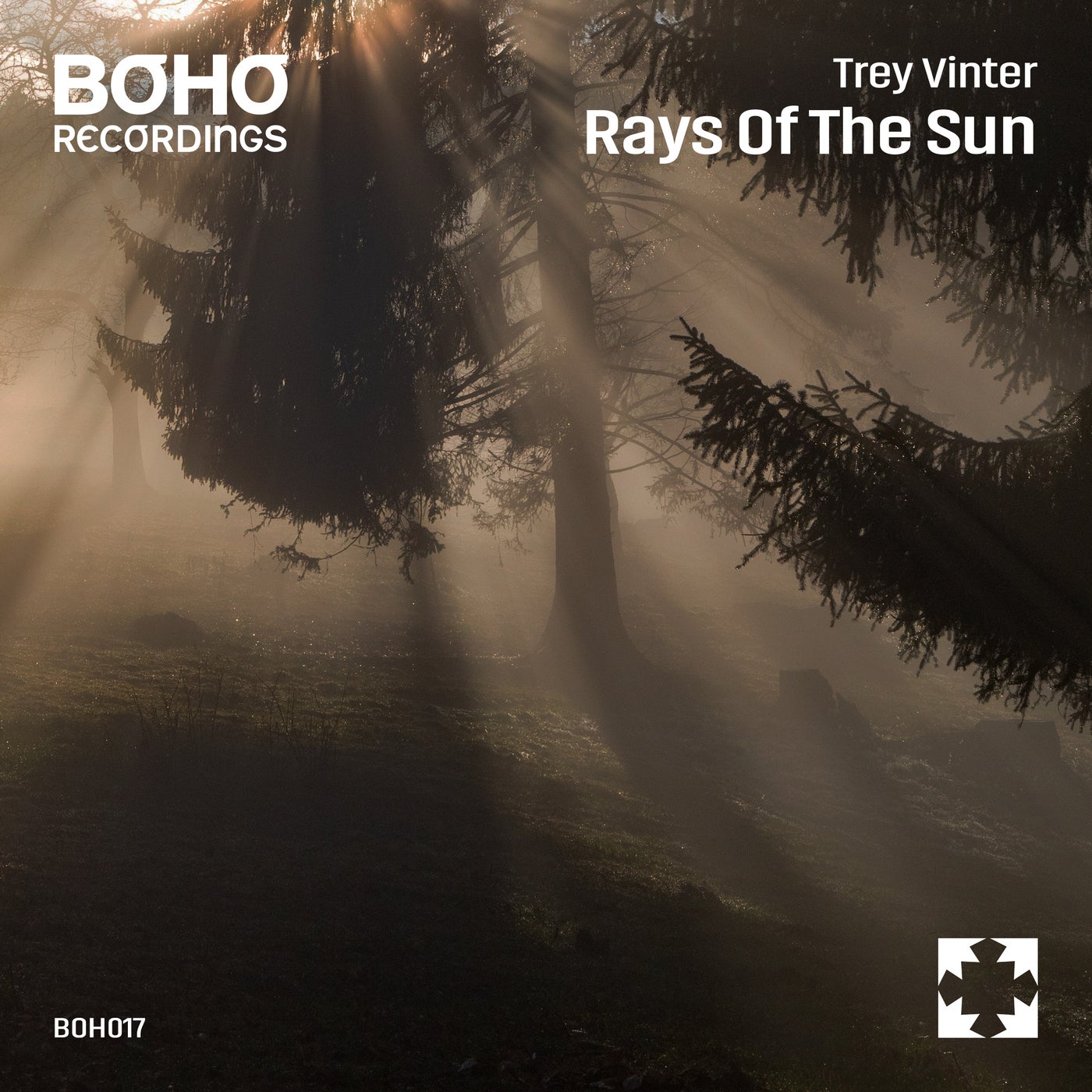 Rays Of The Sun