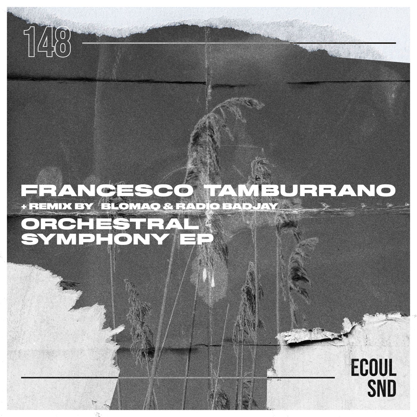 Orchestral Symphony