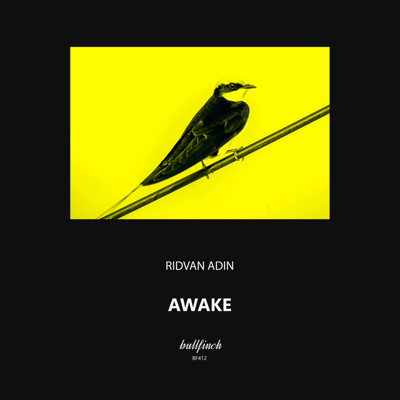 Awake