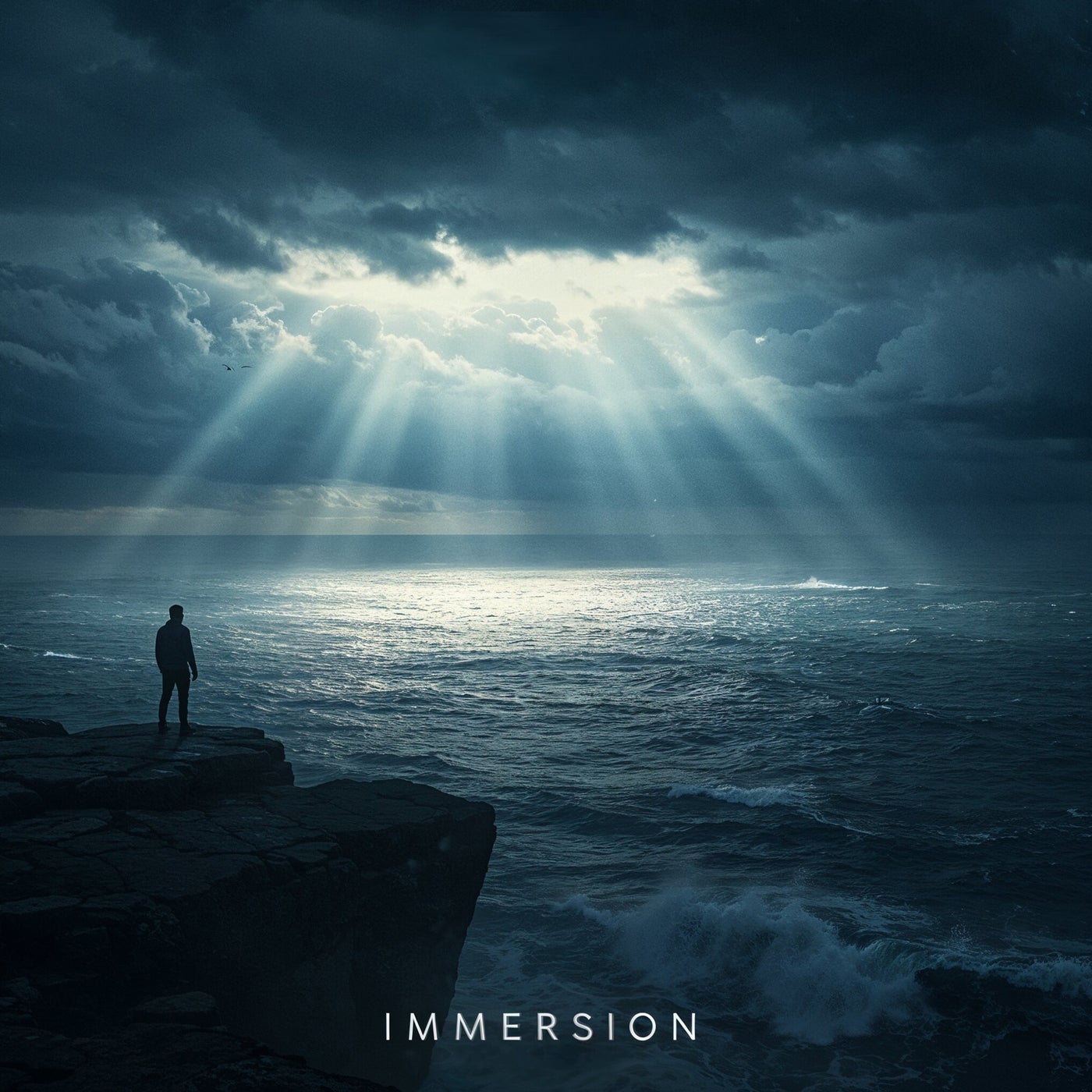 IMMERSION