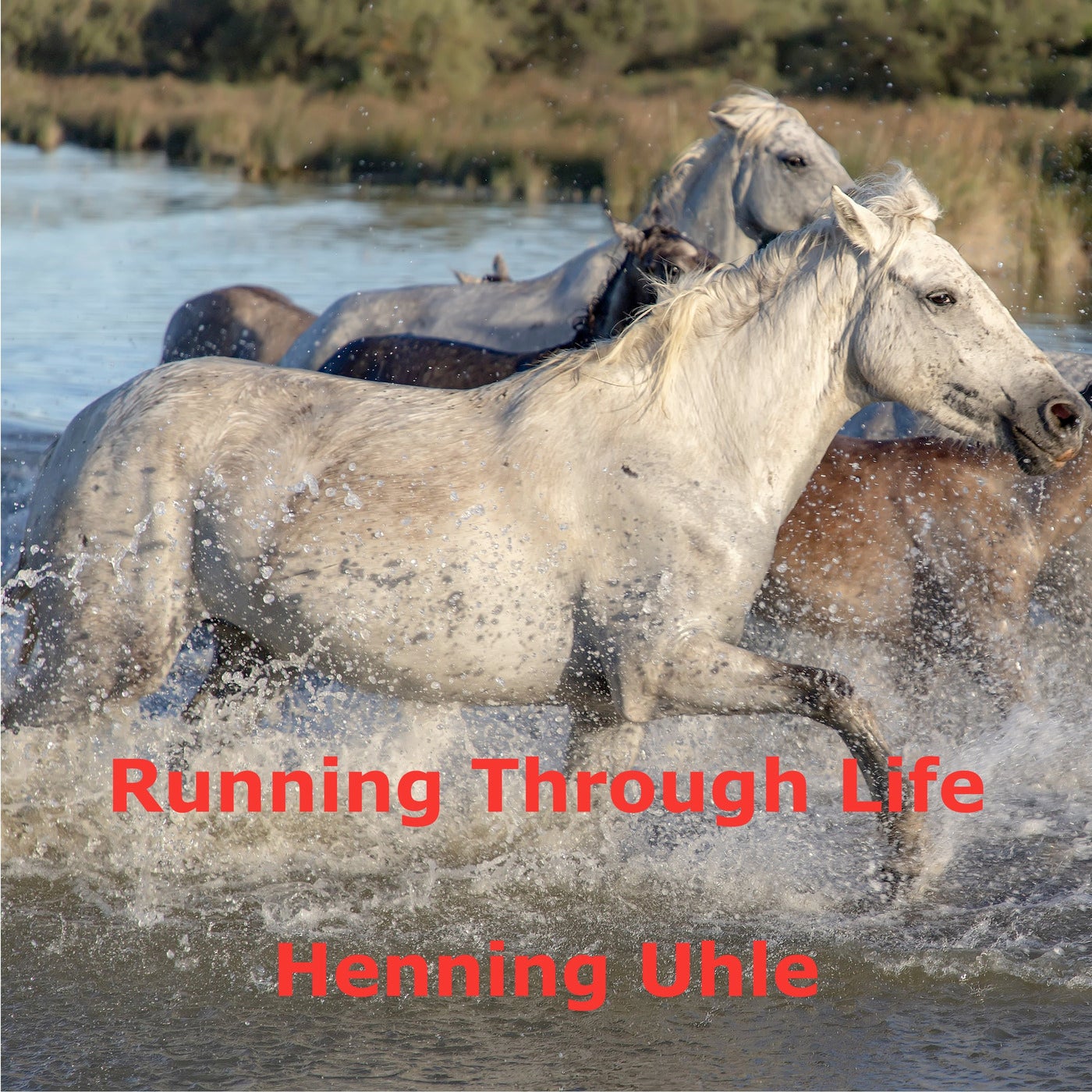 Running Through Life