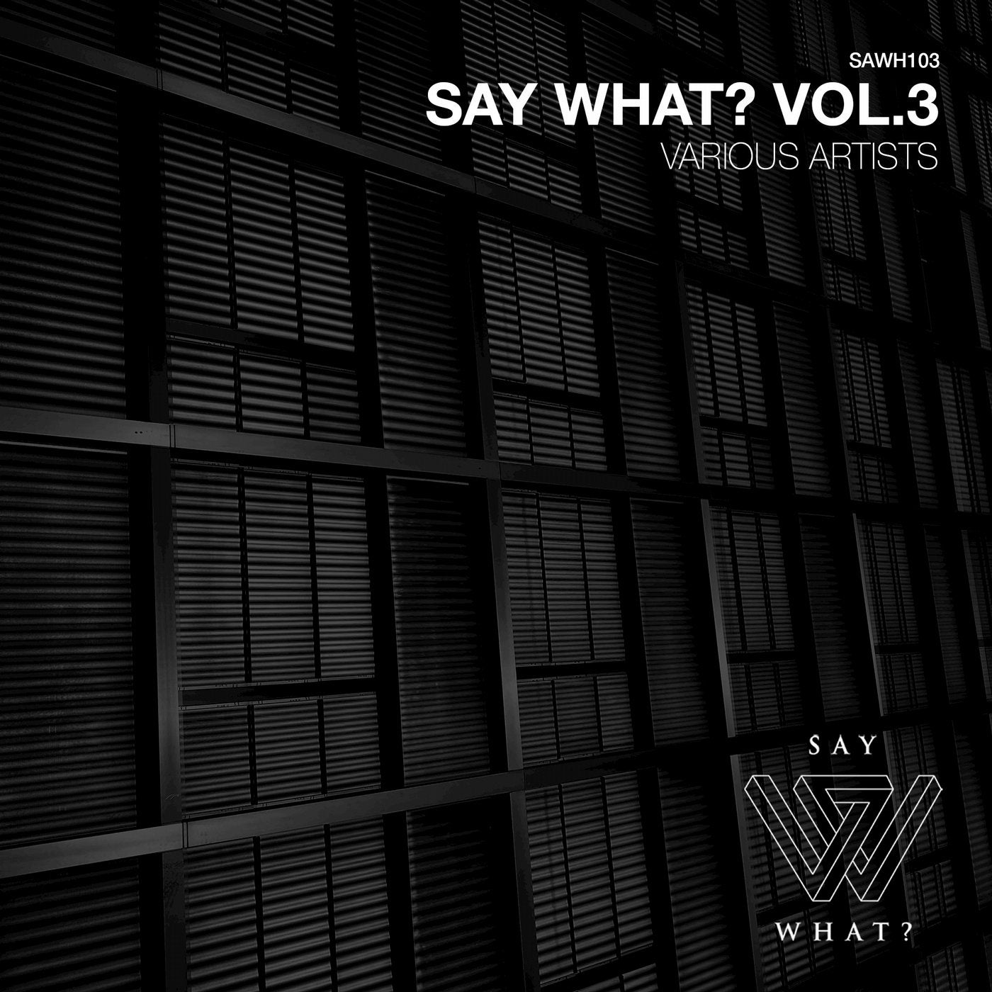 Say What?, Vol. 3