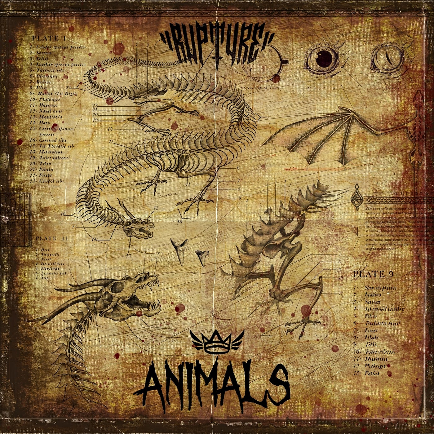 Animals