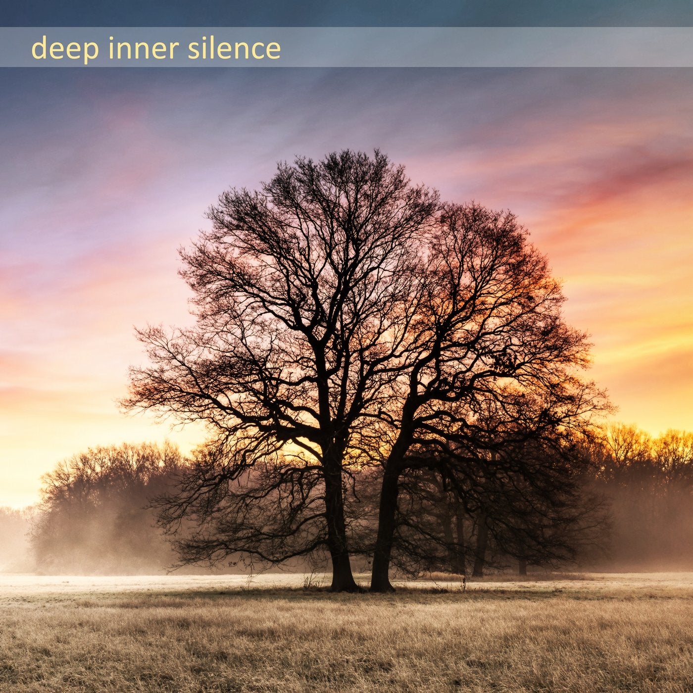Deep Inner Silence