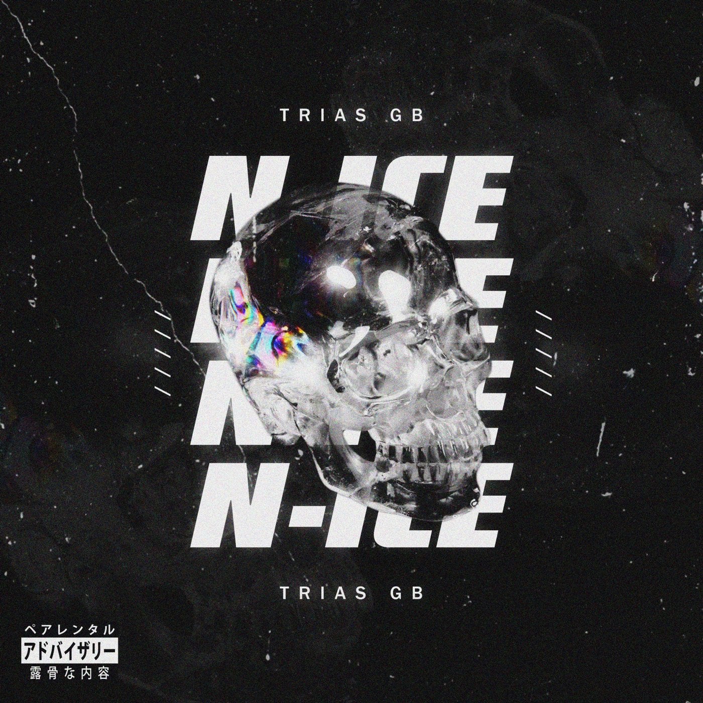 N-ICE