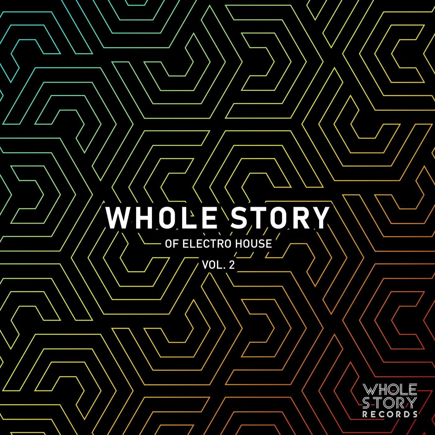 Whole Story Of Electro House Vol. 2
