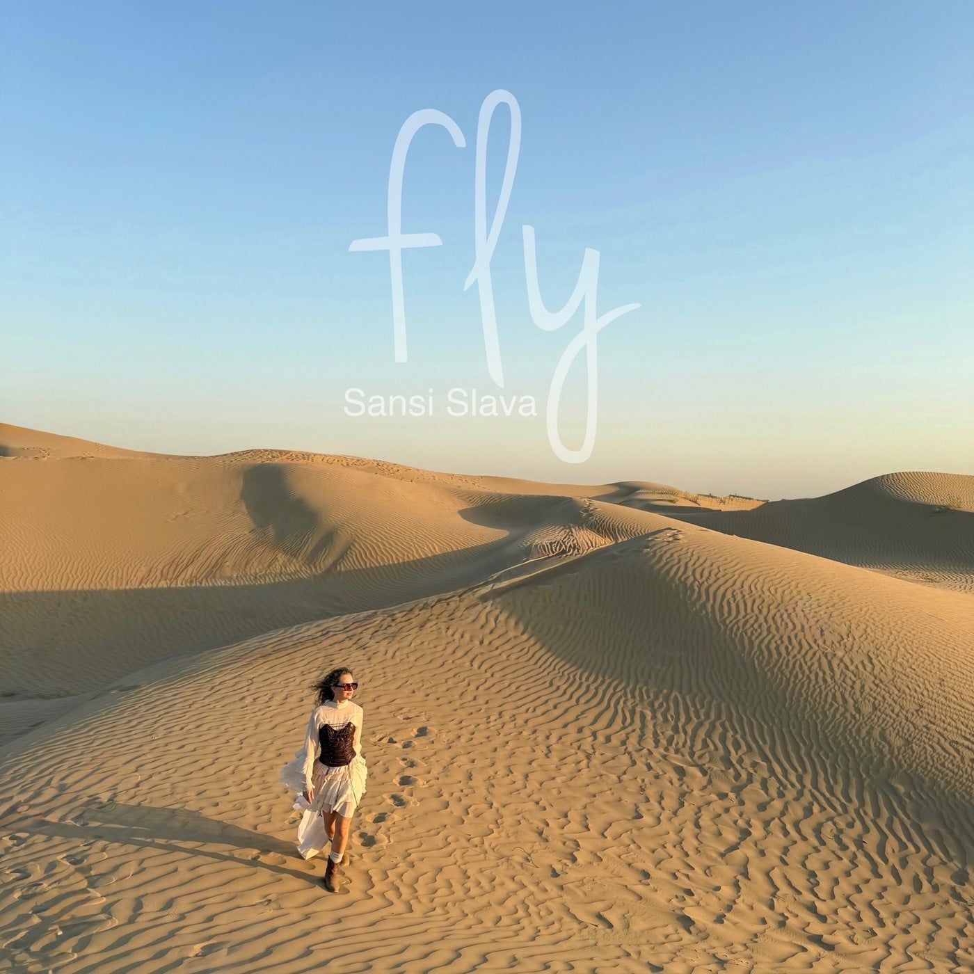 Fly