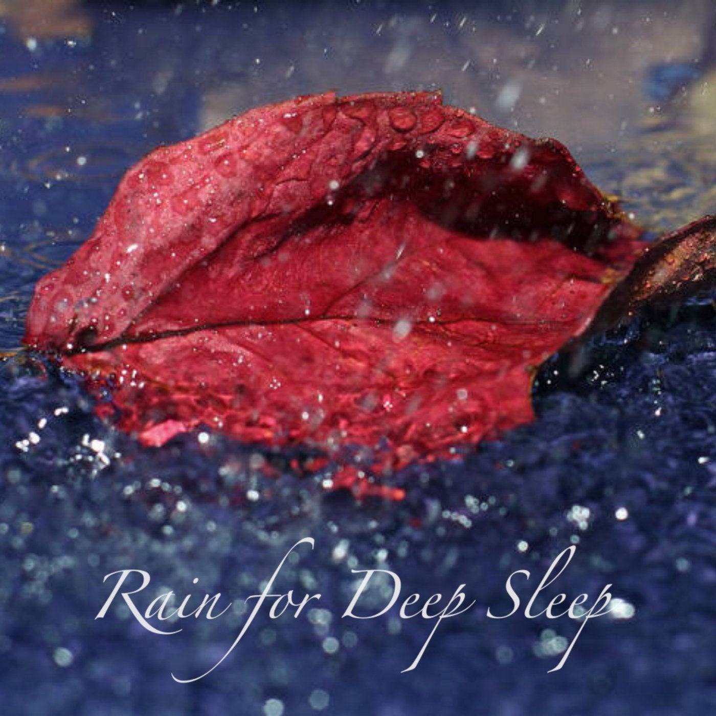 Rain For Deep Sleep