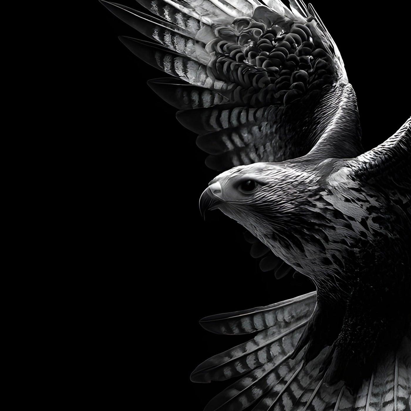 THE HAWK