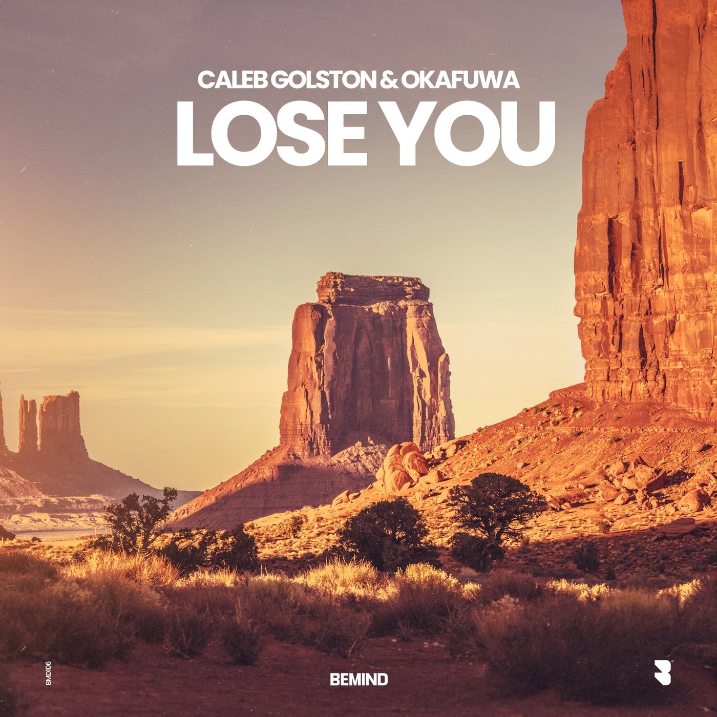 Lose You