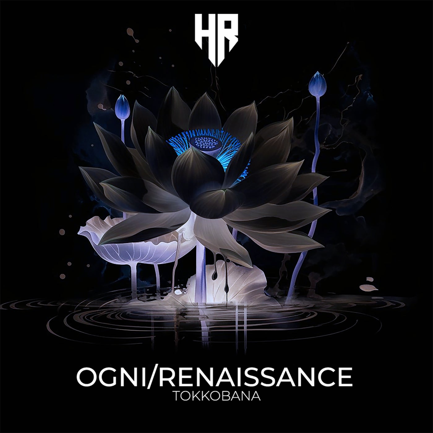 Ogni / Renaissance