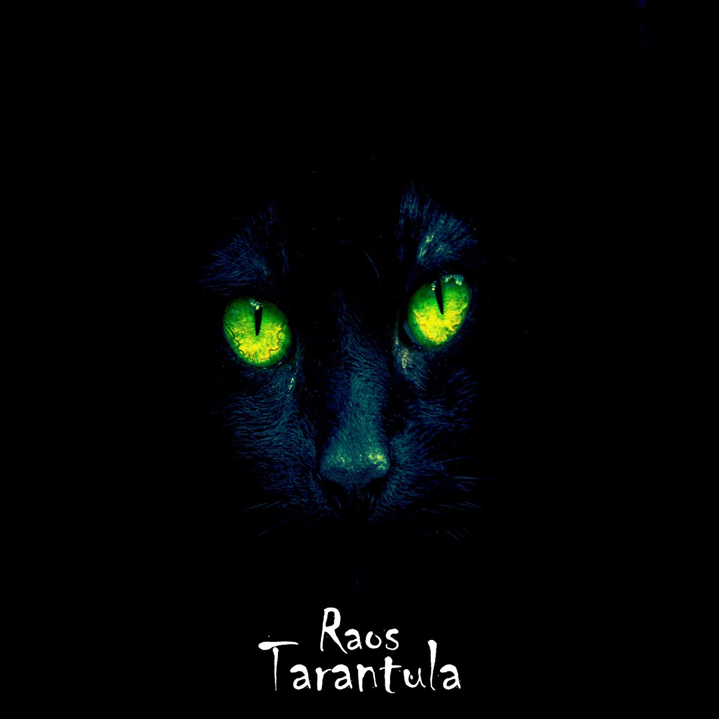 Tarantula