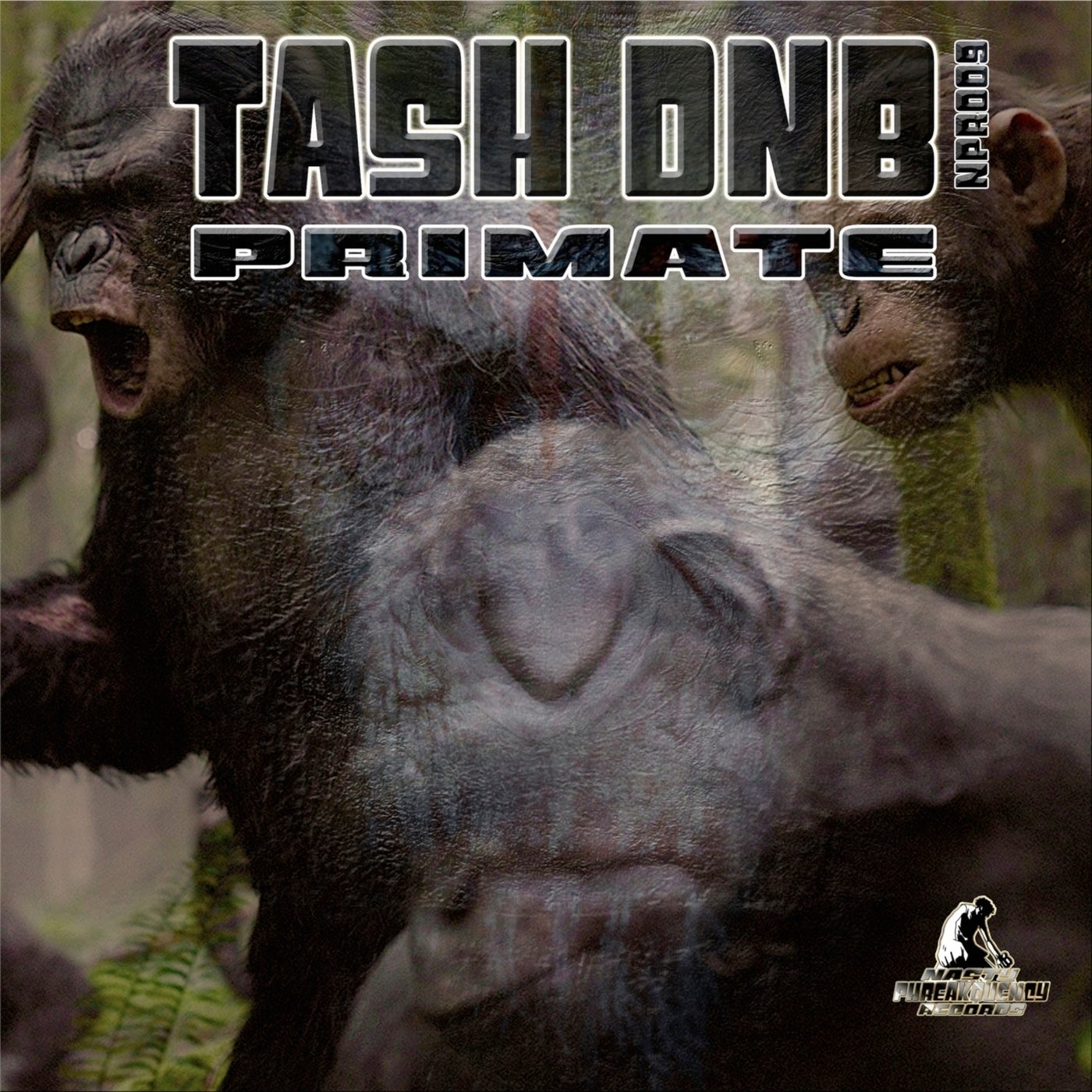 Primate