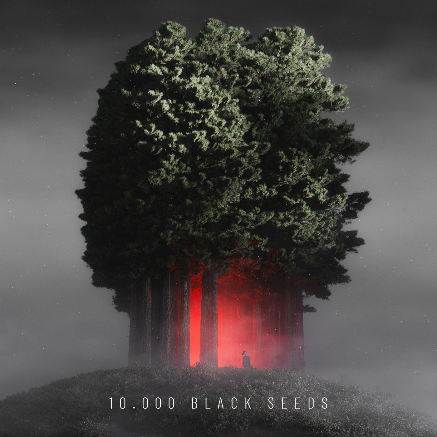 10.000 Black Seeds