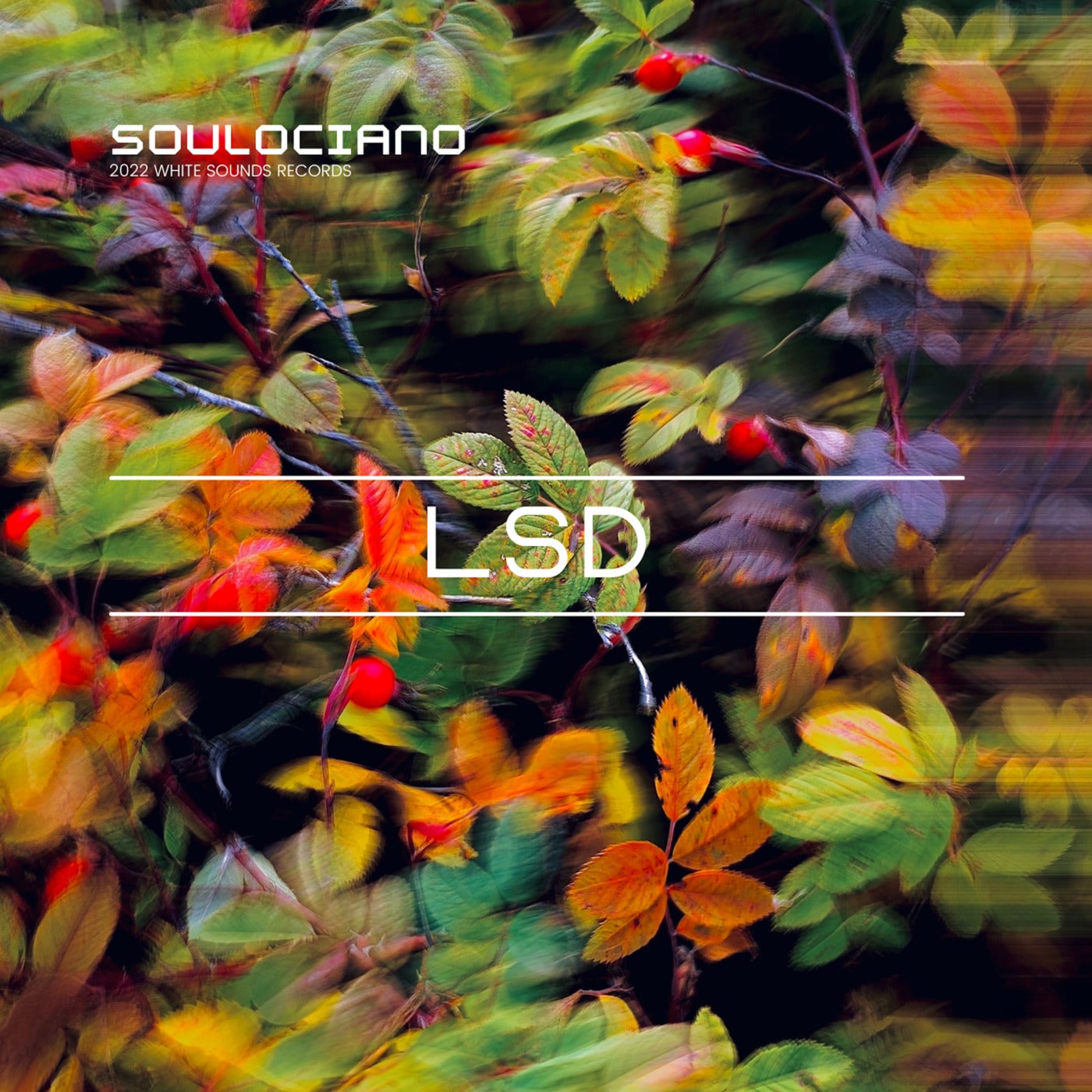 Lsd