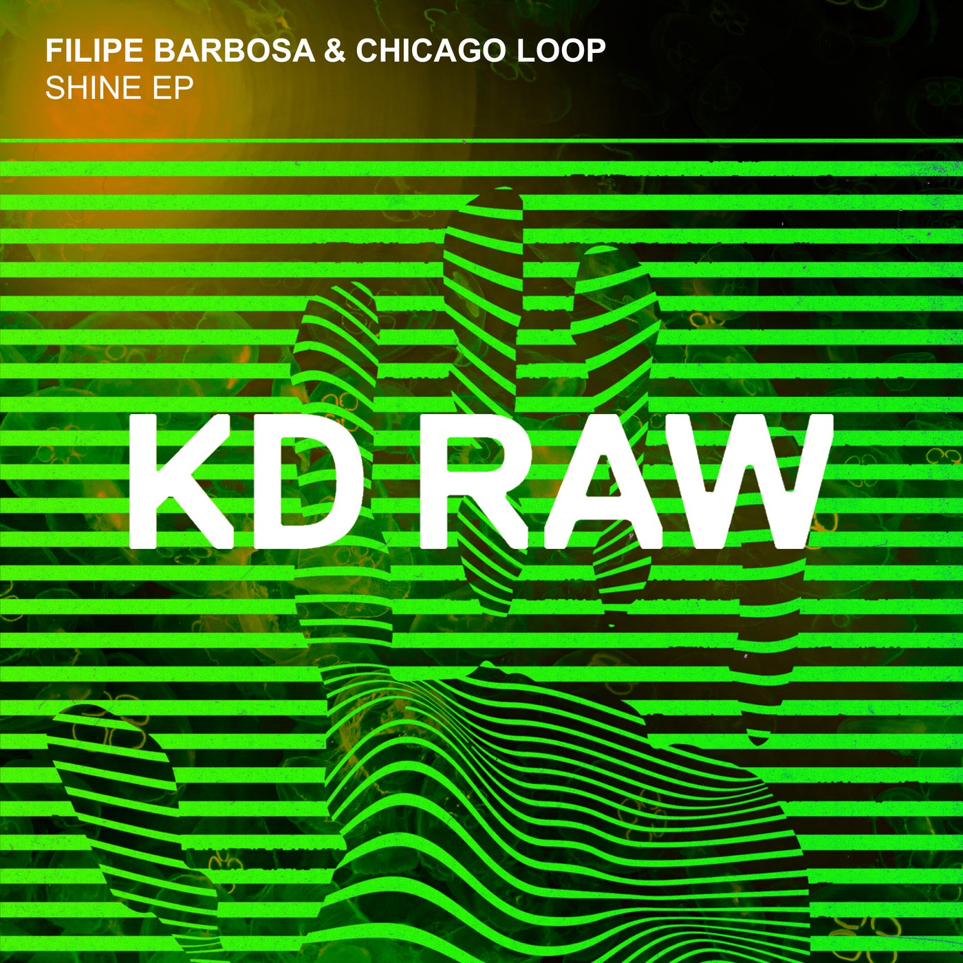 Chicago Loop Music & Downloads on Beatport