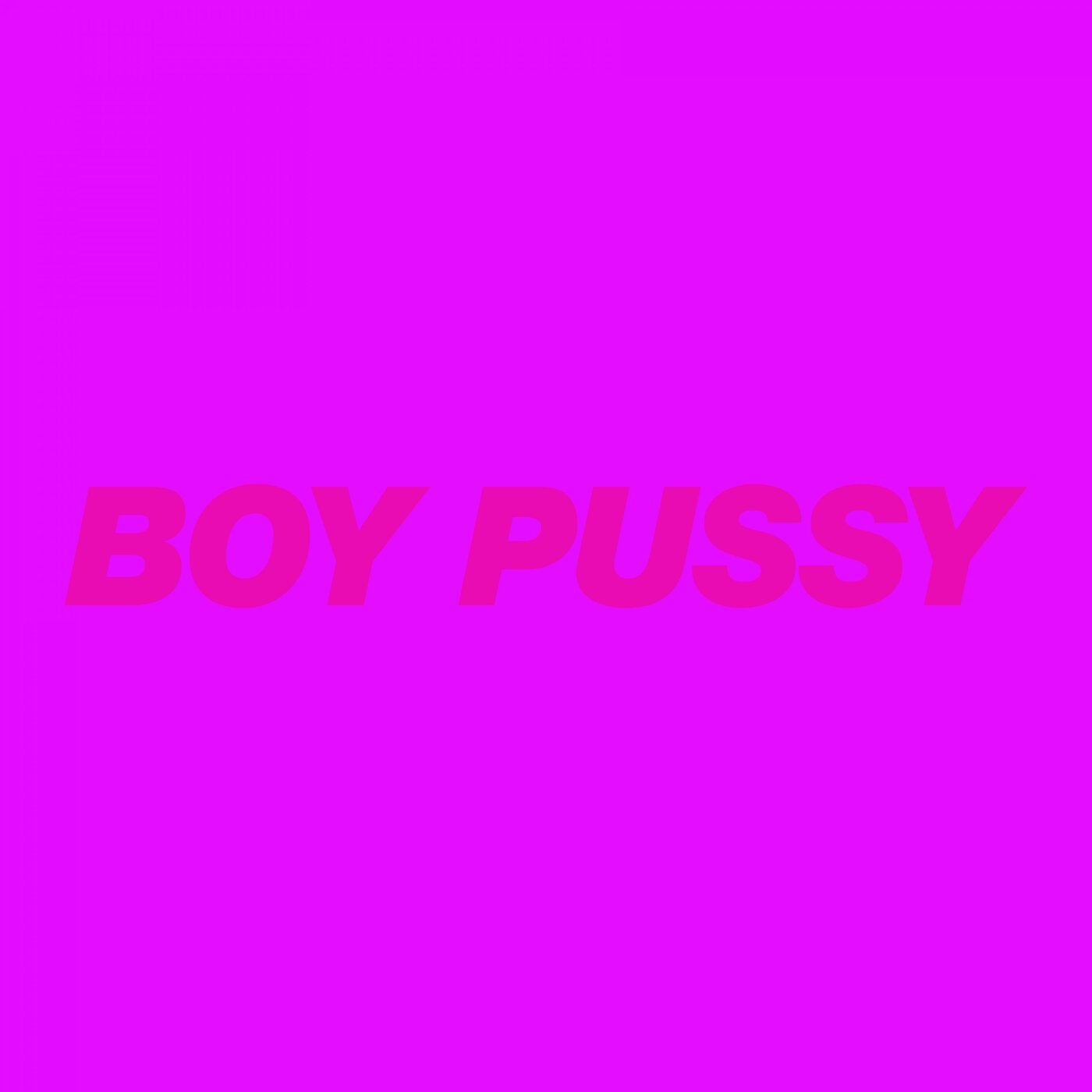 Boy Pussy: The Remixes, Vol. 2