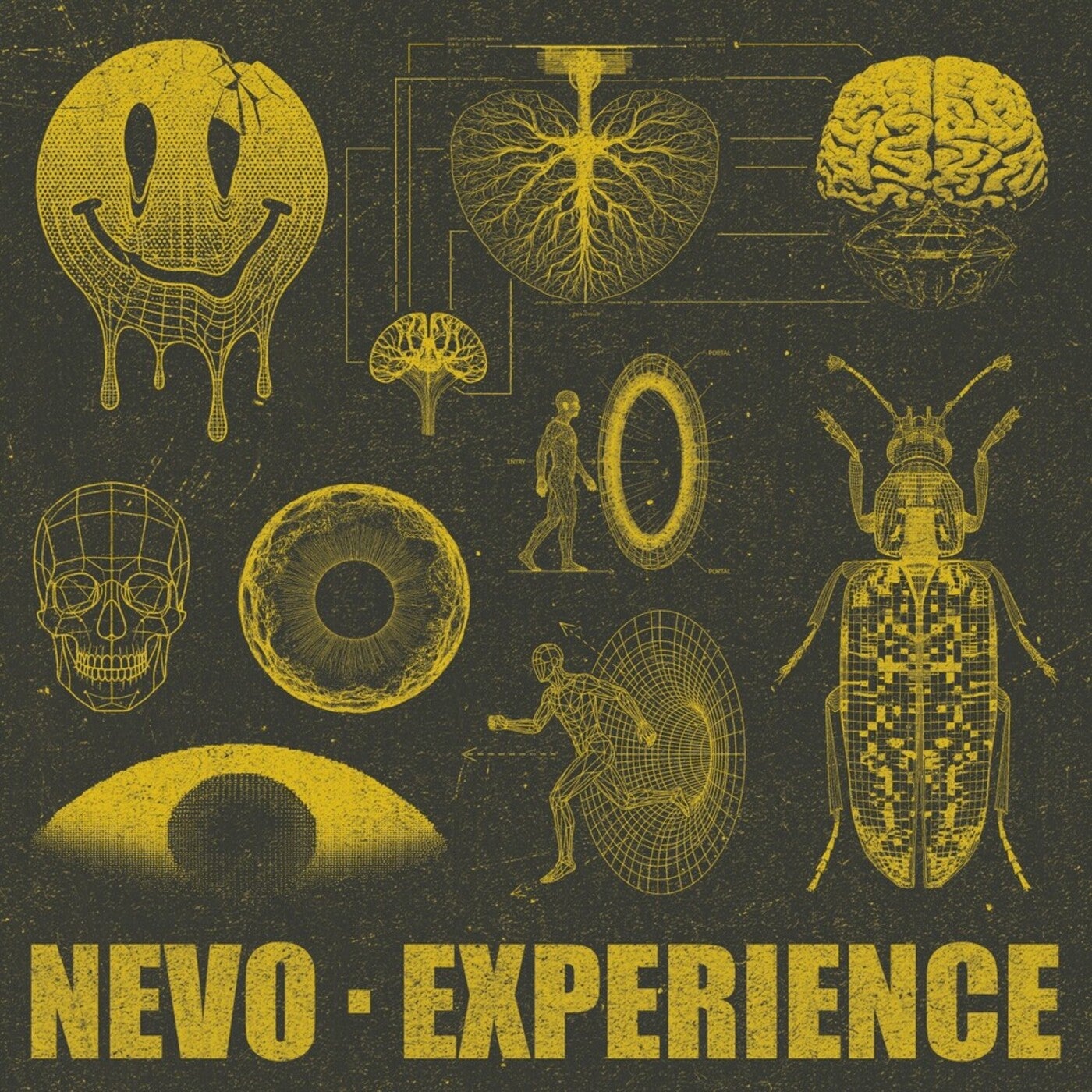Experience