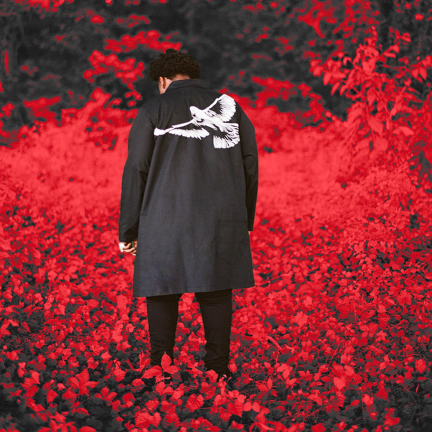 Cover art for Last Man Standing