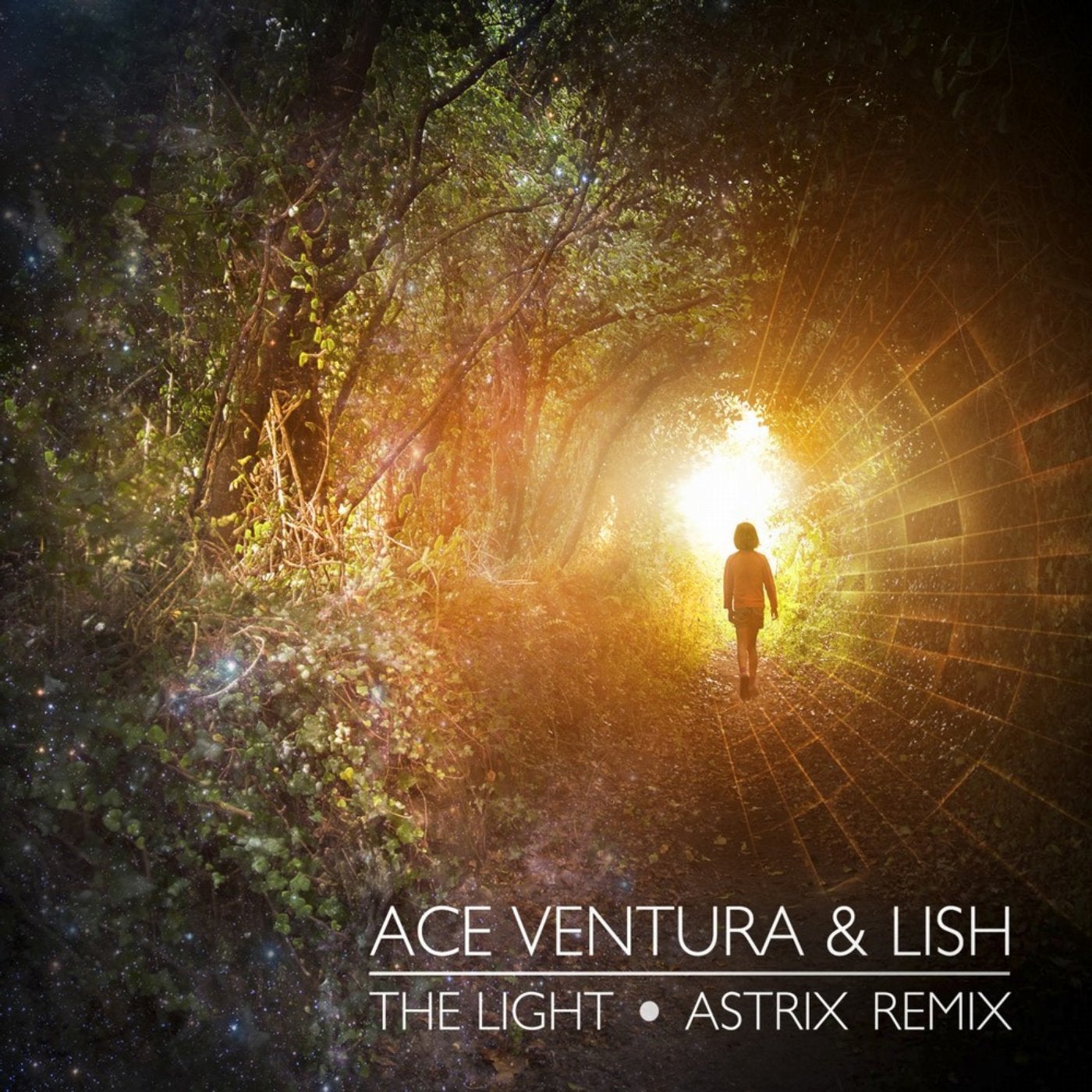 The Light (Astrix Remix)