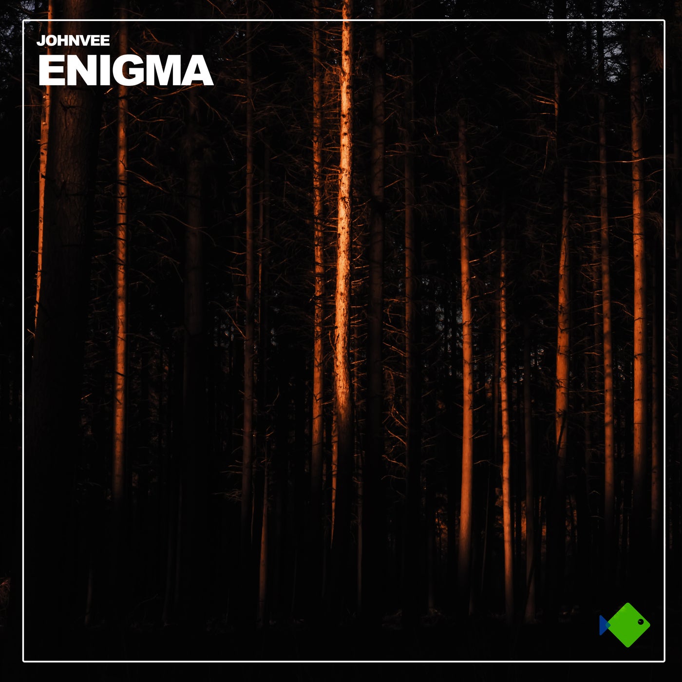 Enigma