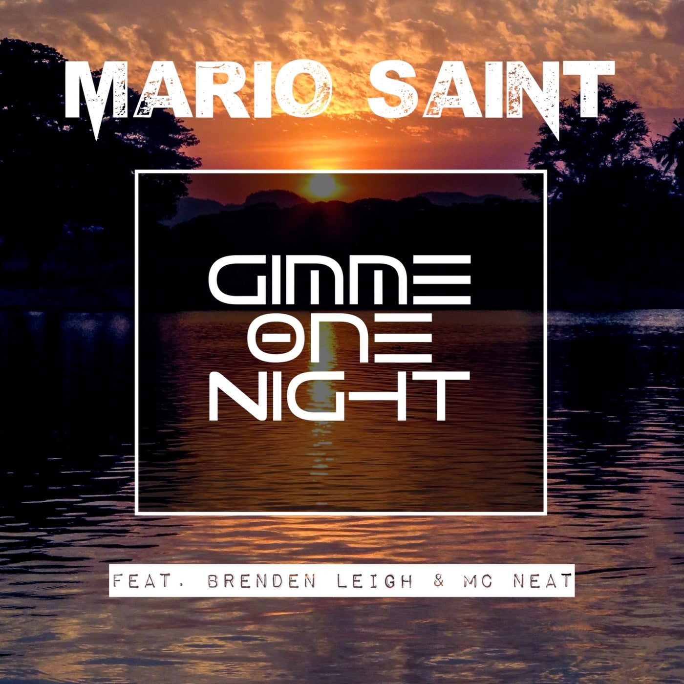 Gimme One Night (feat. Brenden Leigh & MC Neat)