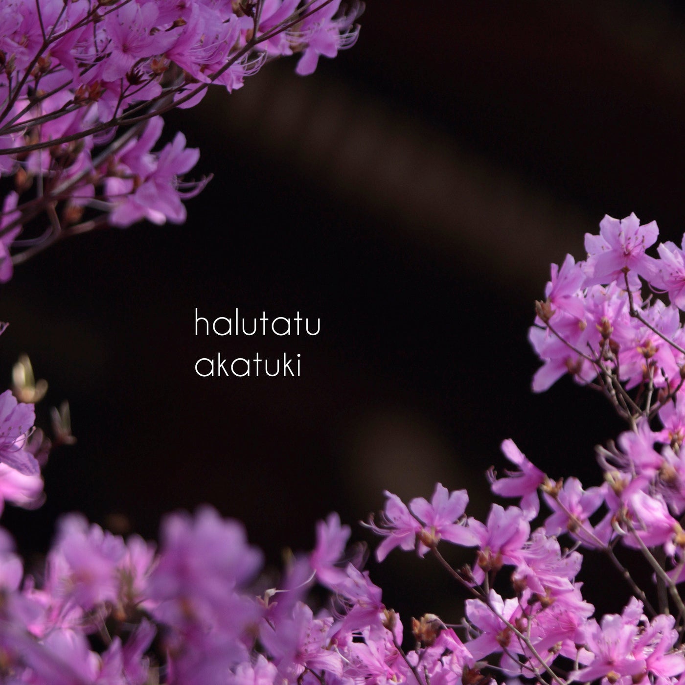 Halutatu