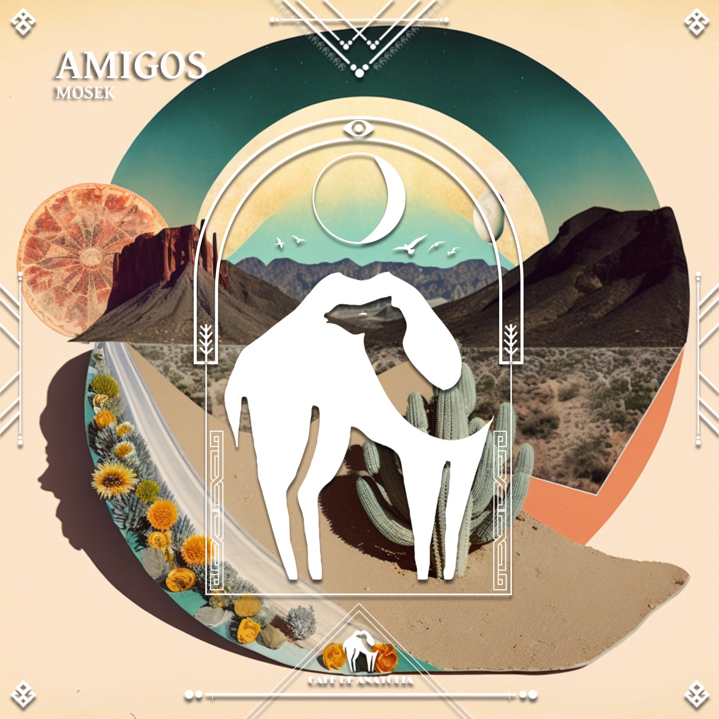 Amigos