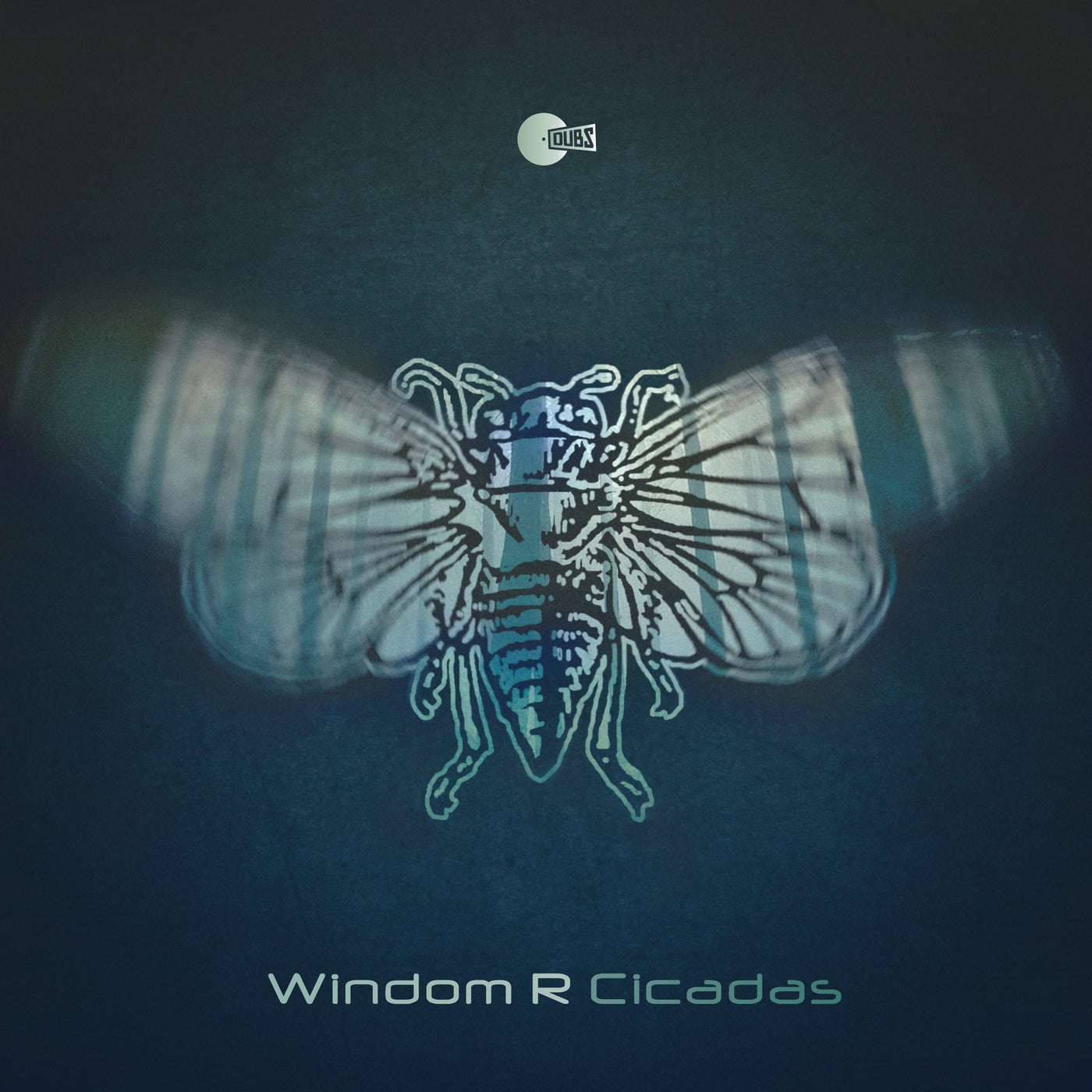 Cicadas