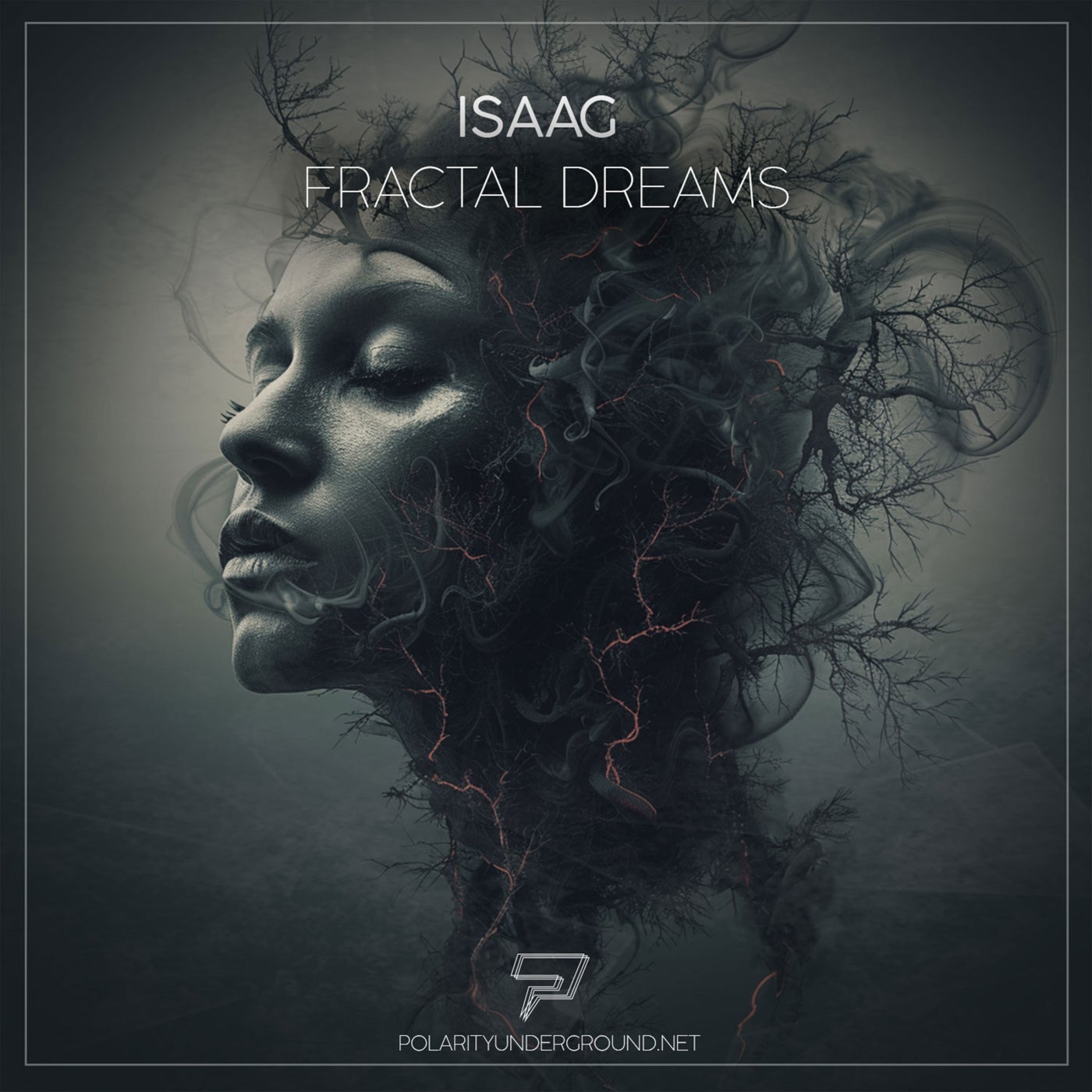 Fractal Dreams
