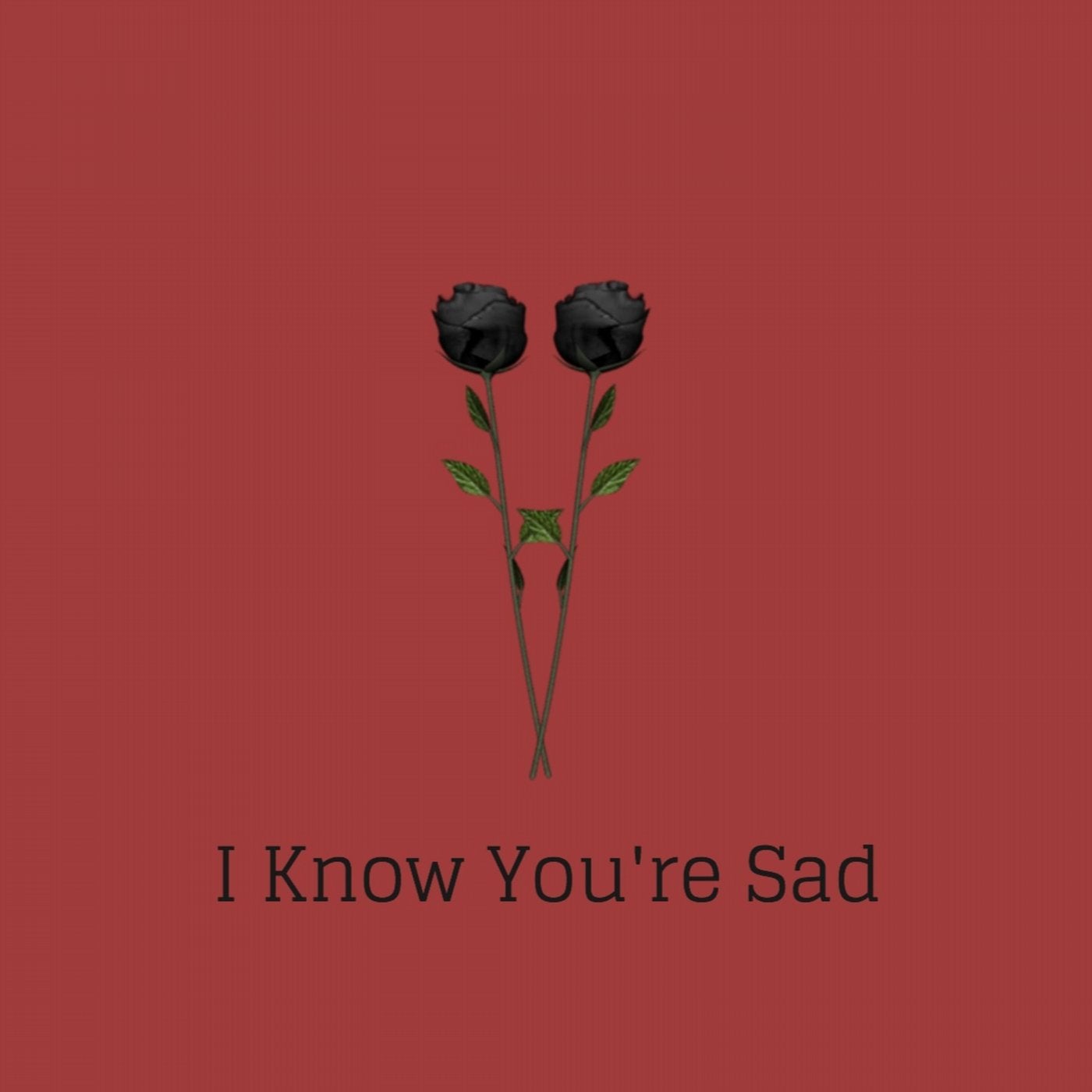I Know You're Sad