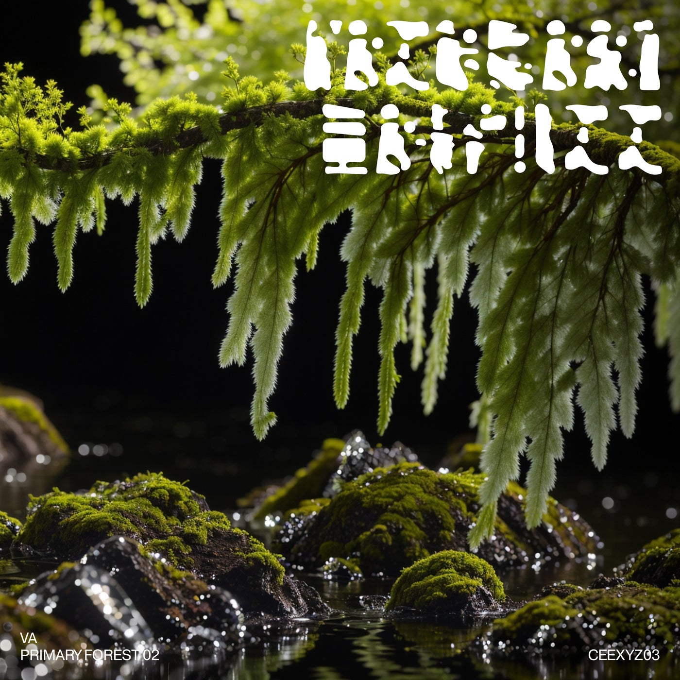Cover art for PRIMARY FOREST 02
