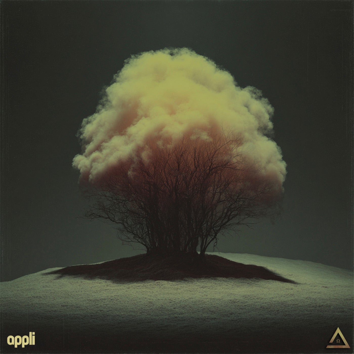 Appli