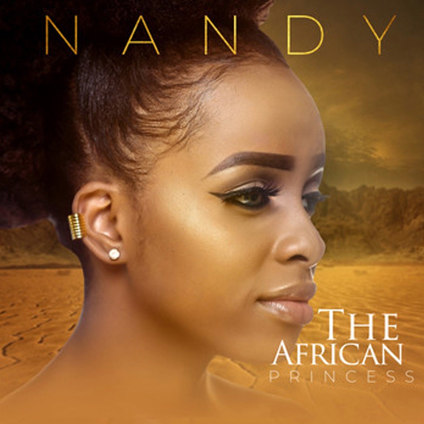 Cover art for The African Princess