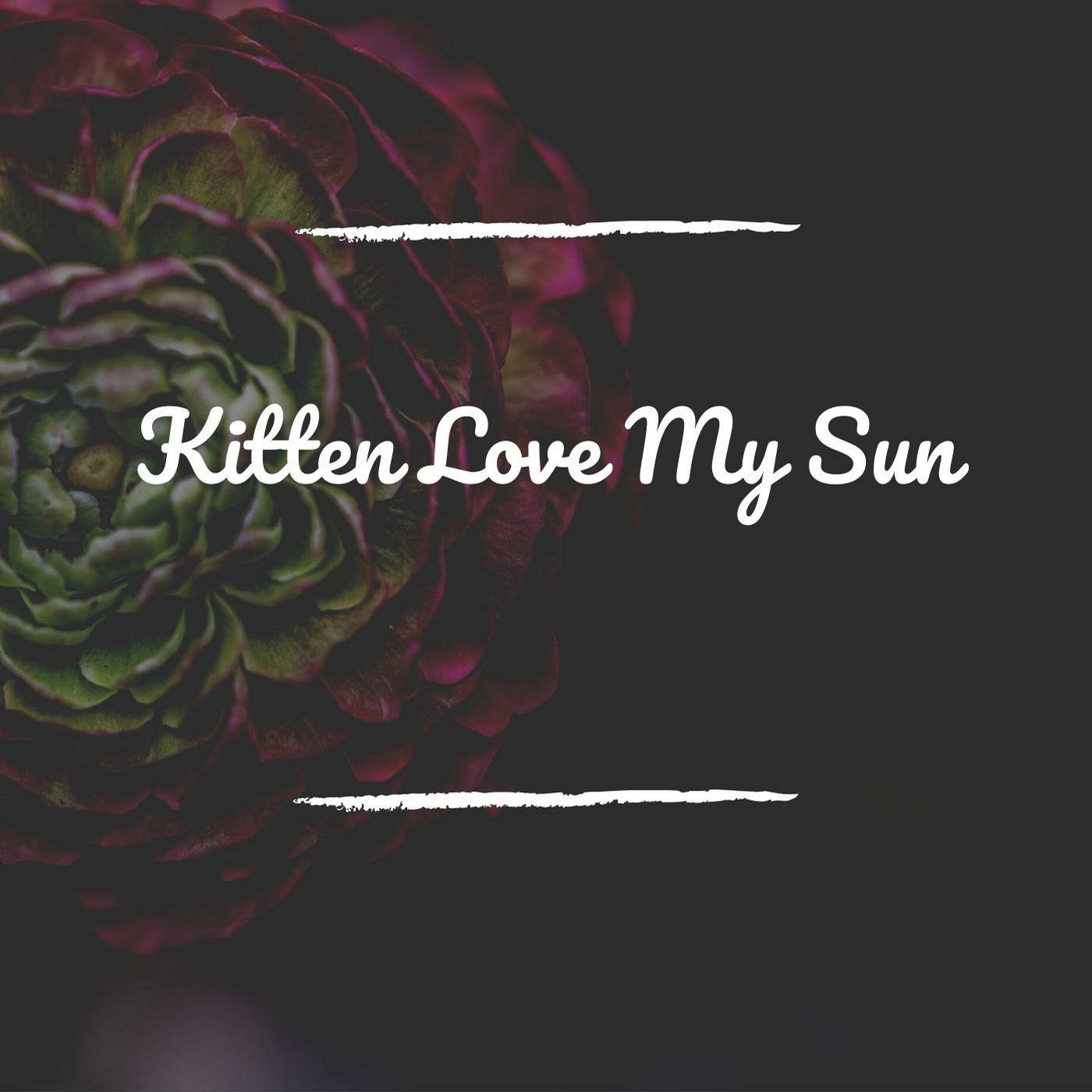 Kitten Love My Sun