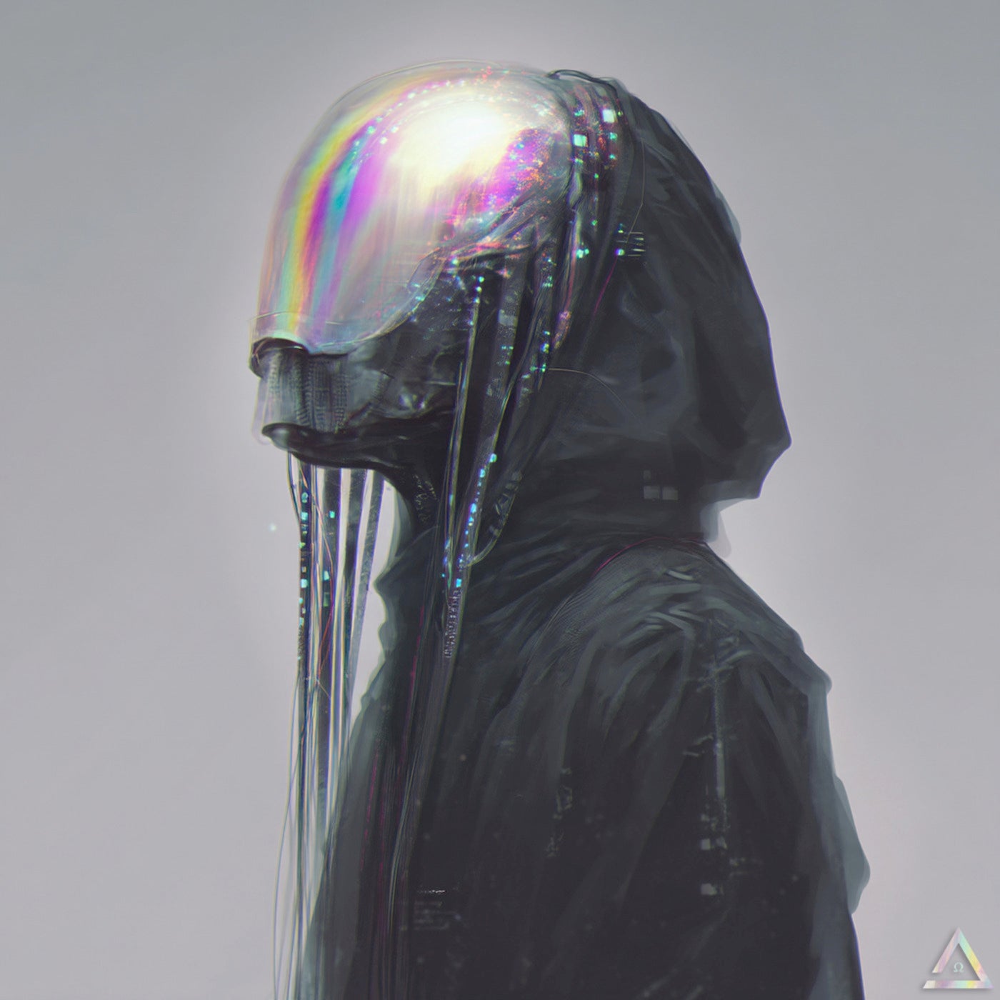 Jelly