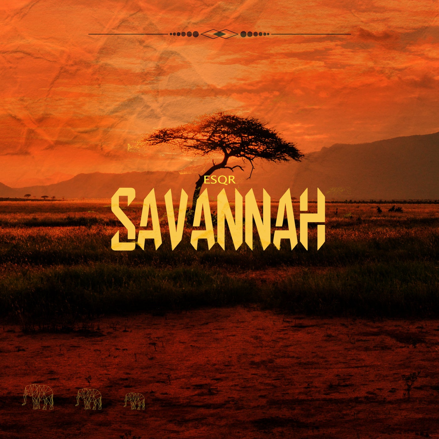 Savannah