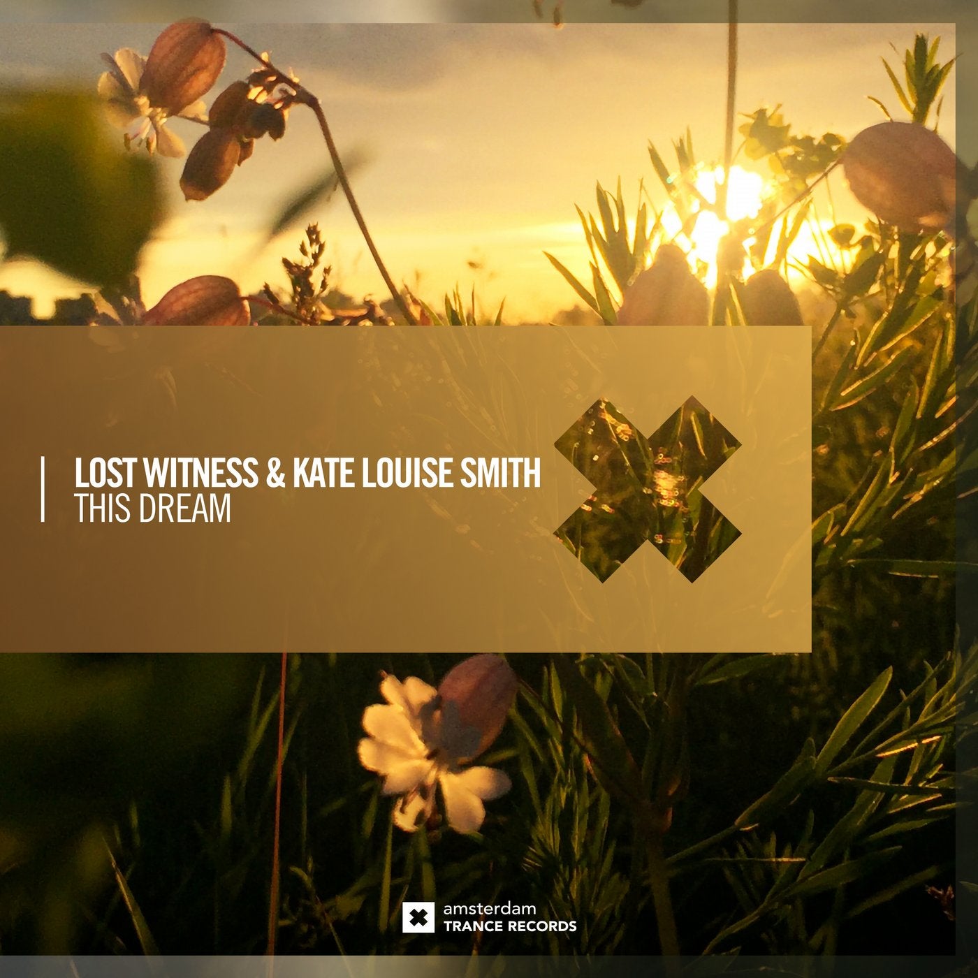 Lost witness. Kate Louise Smith. Lost witness фото. Lost witness Trance. This dreams песня